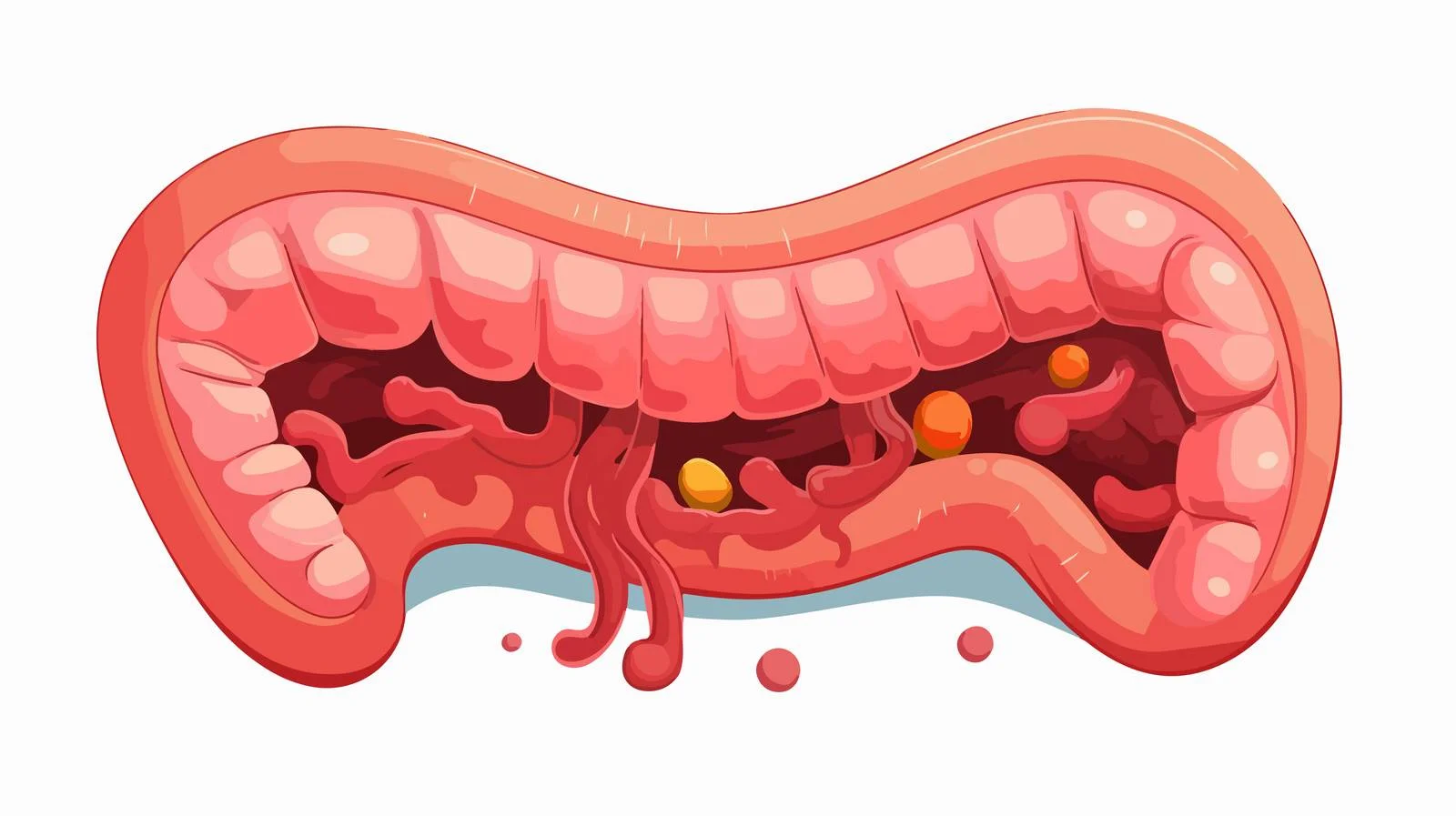Cartoon Intestines Illustration — free download from Dotvec