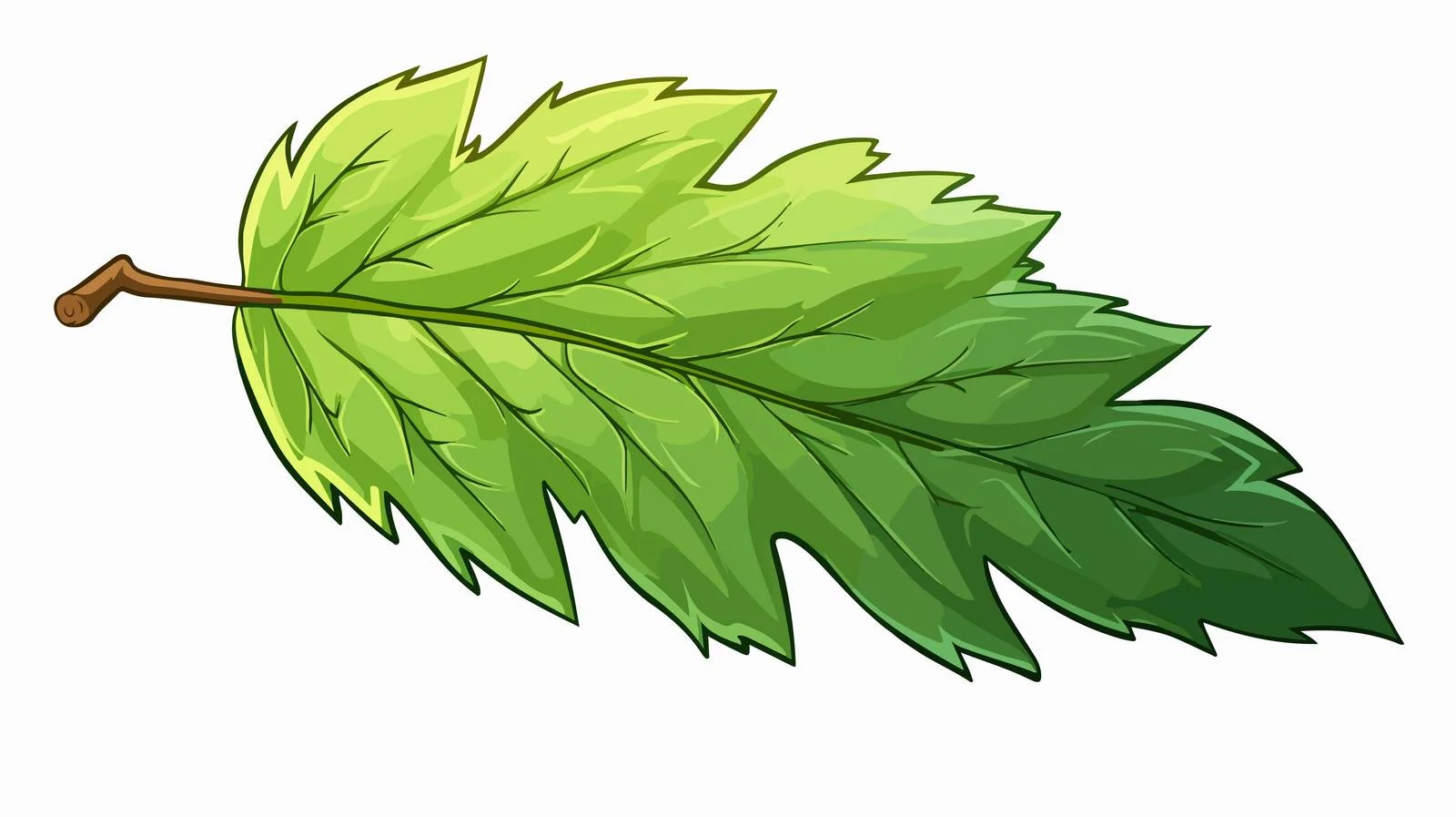 Colorful Cartoon Leaf Illustration — free download from Dotvec