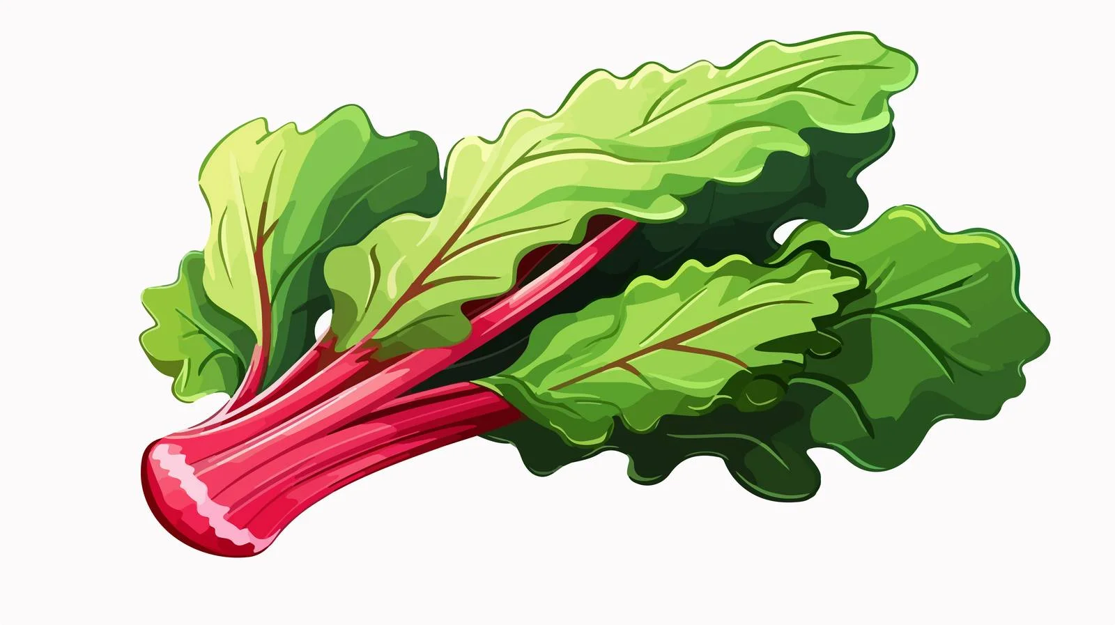 Cartoon Rhubarb Vector Illustration — free download from Dotvec
