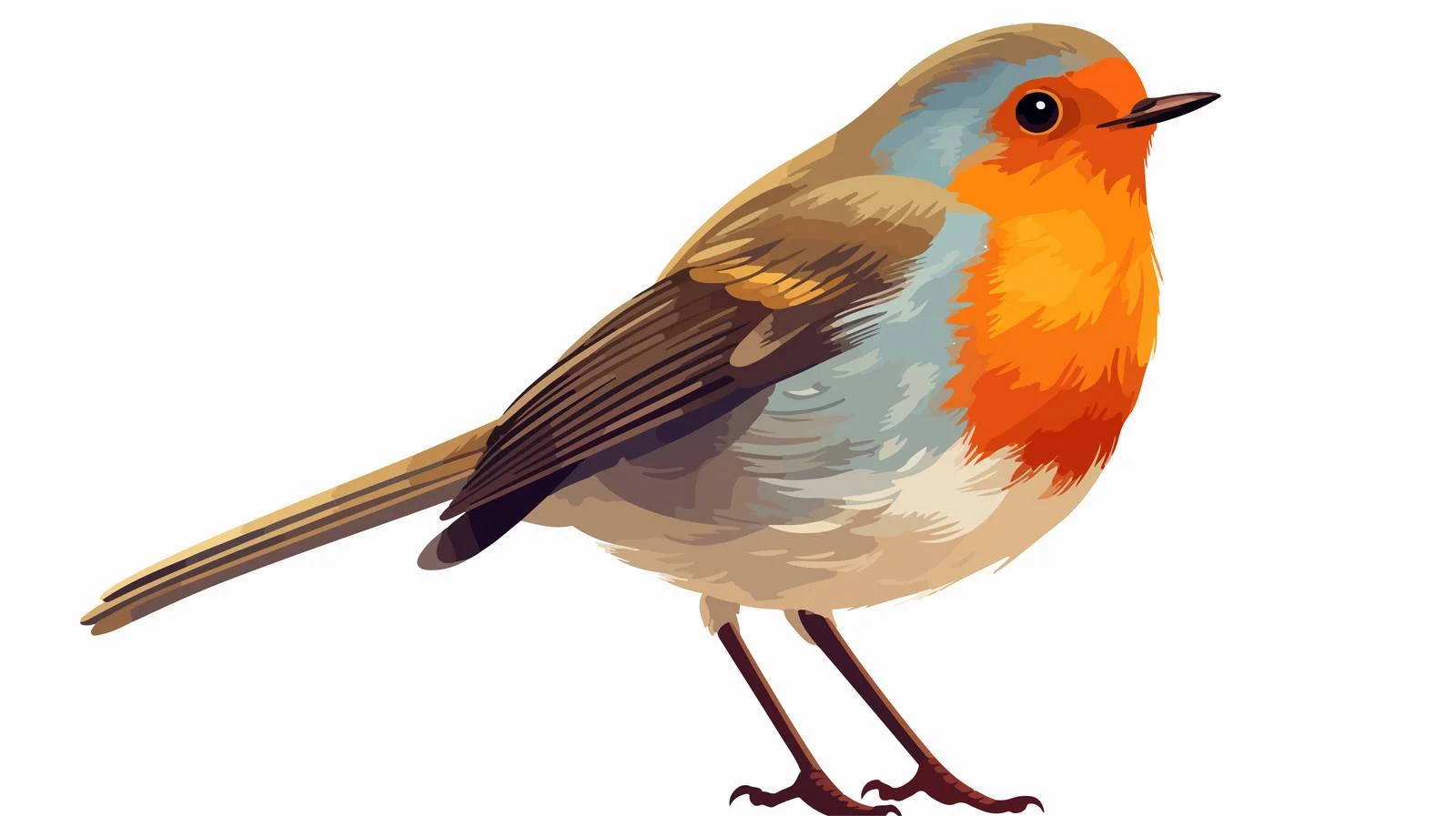 Colorful Cartoon Robin Illustration – free robin image from Dotvec