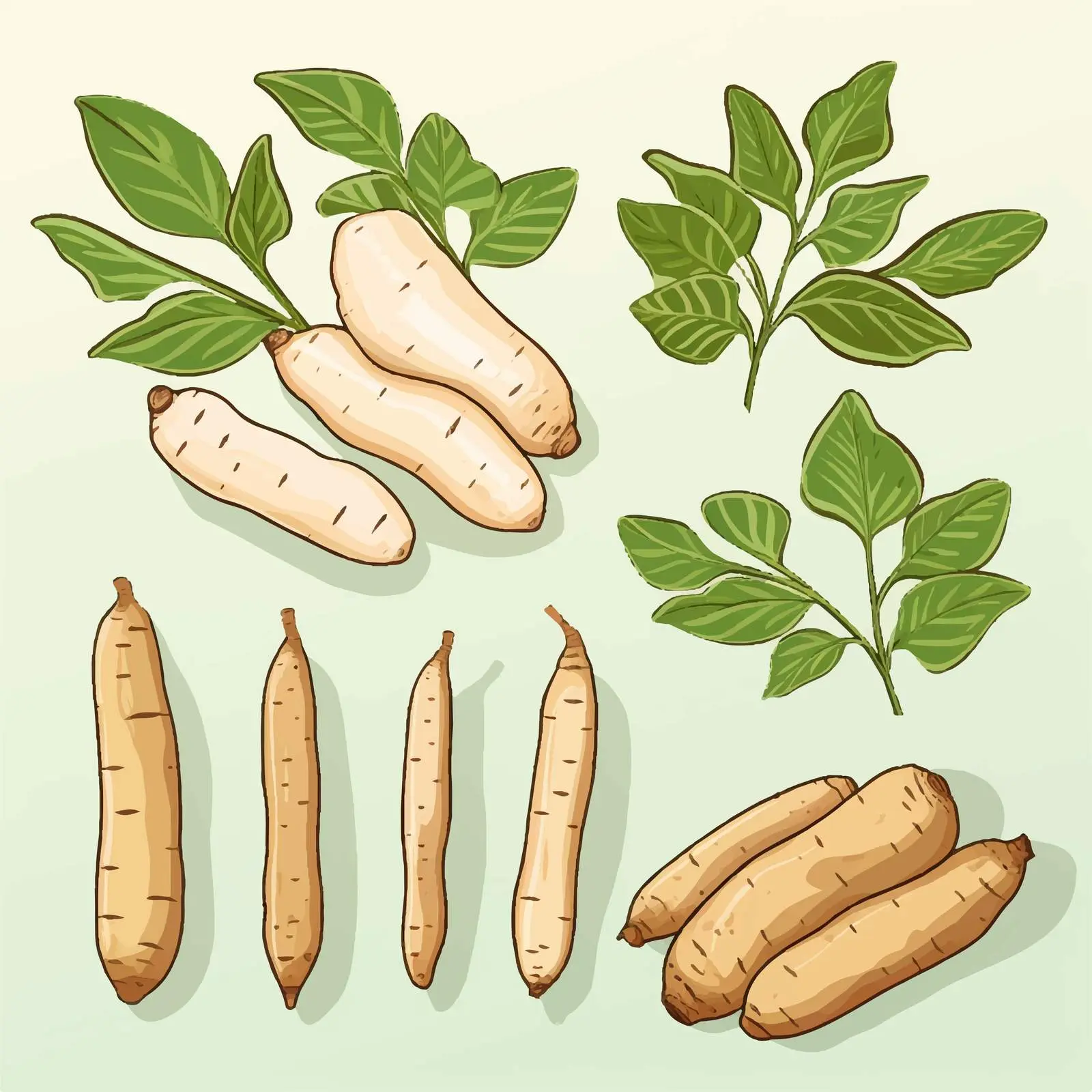 Cassava Outline Vector Illustration on White Background — free download from Dotvec