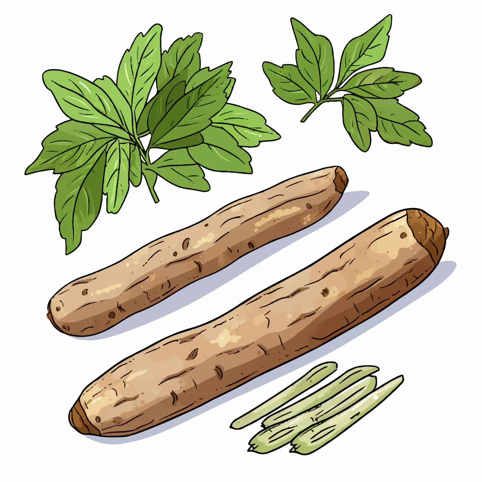 Cassava Outline Vector Illustration on White Background — free download from Dotvec