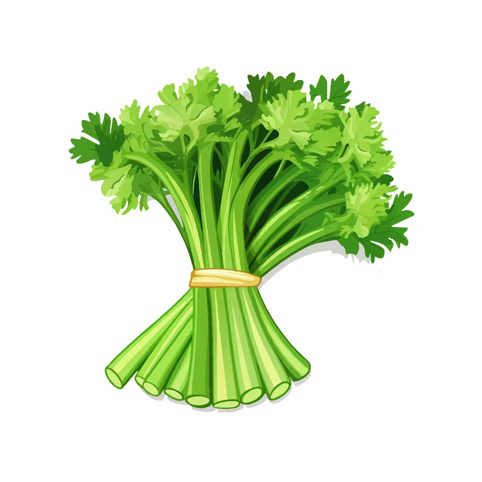 Fresh Green Celery Stalks for Healthy Eating — free download from Dotvec