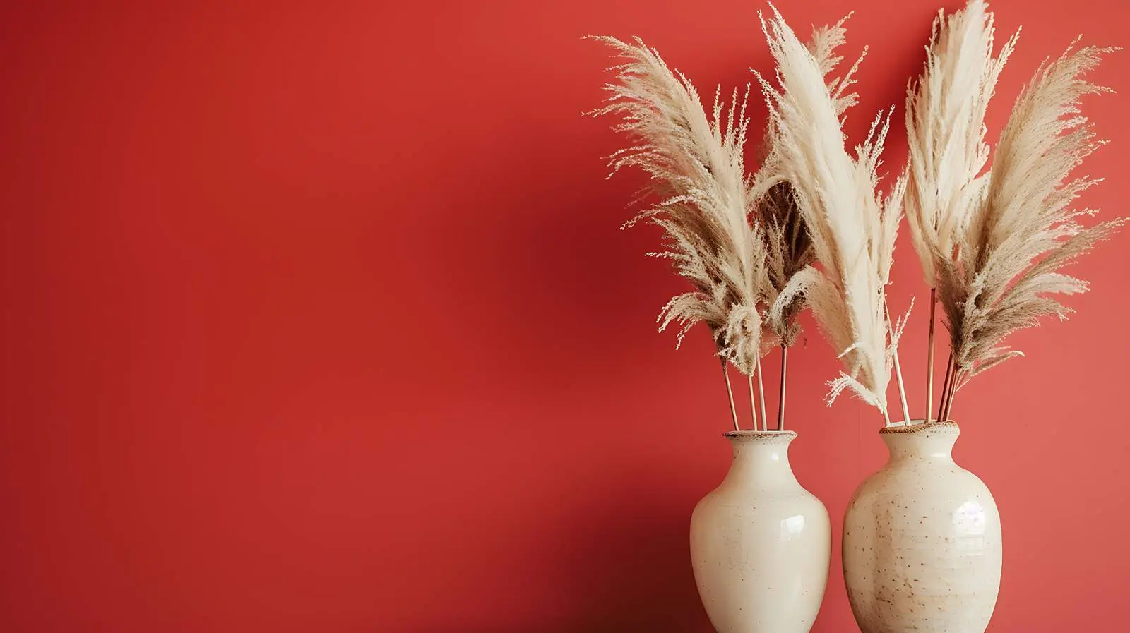 Ceramic Vases with Dried Pampas Grass Arrangement – free ceramic vases image from Dotvec