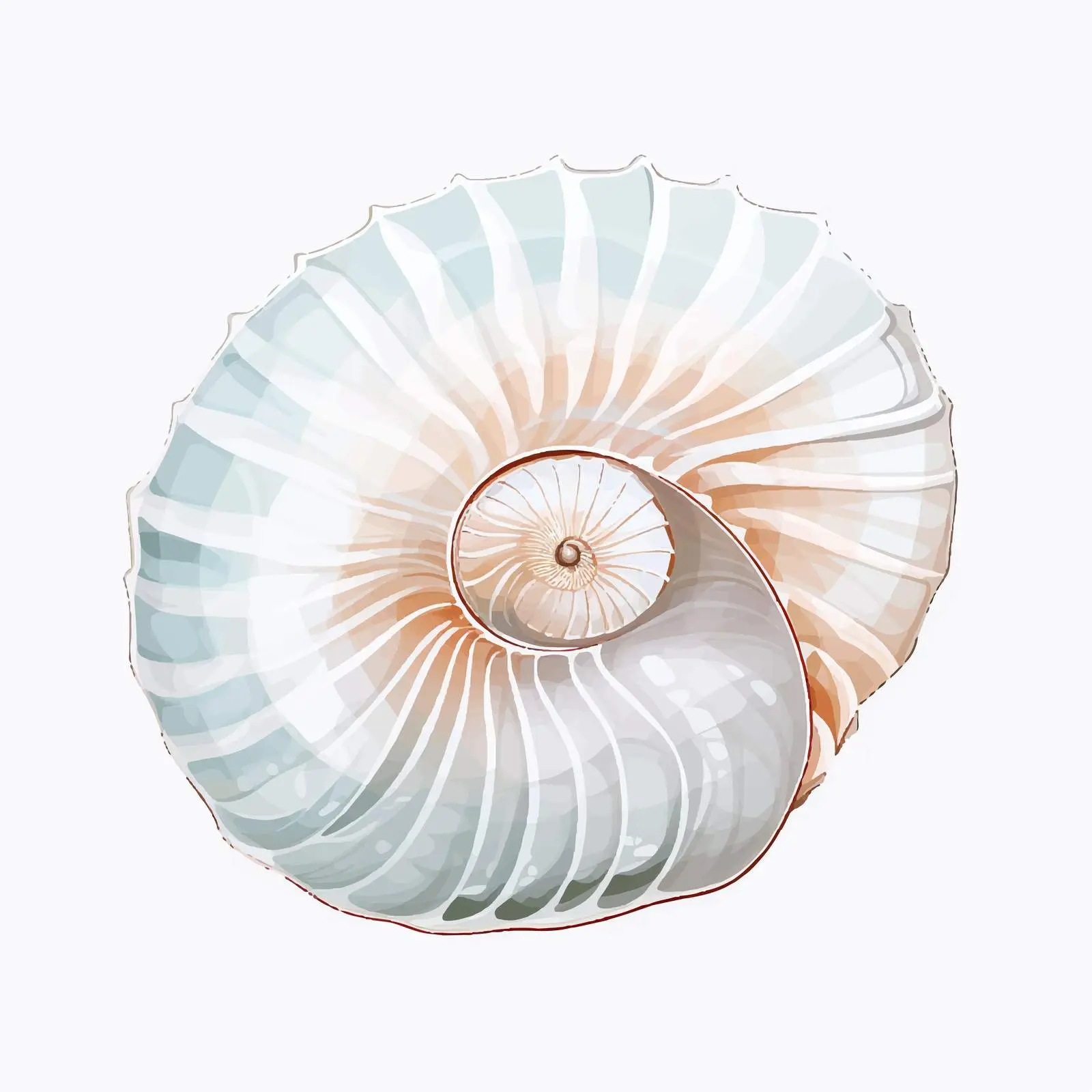 Chambered Nautilus Silhouette on Transparent Background — free download from Dotvec