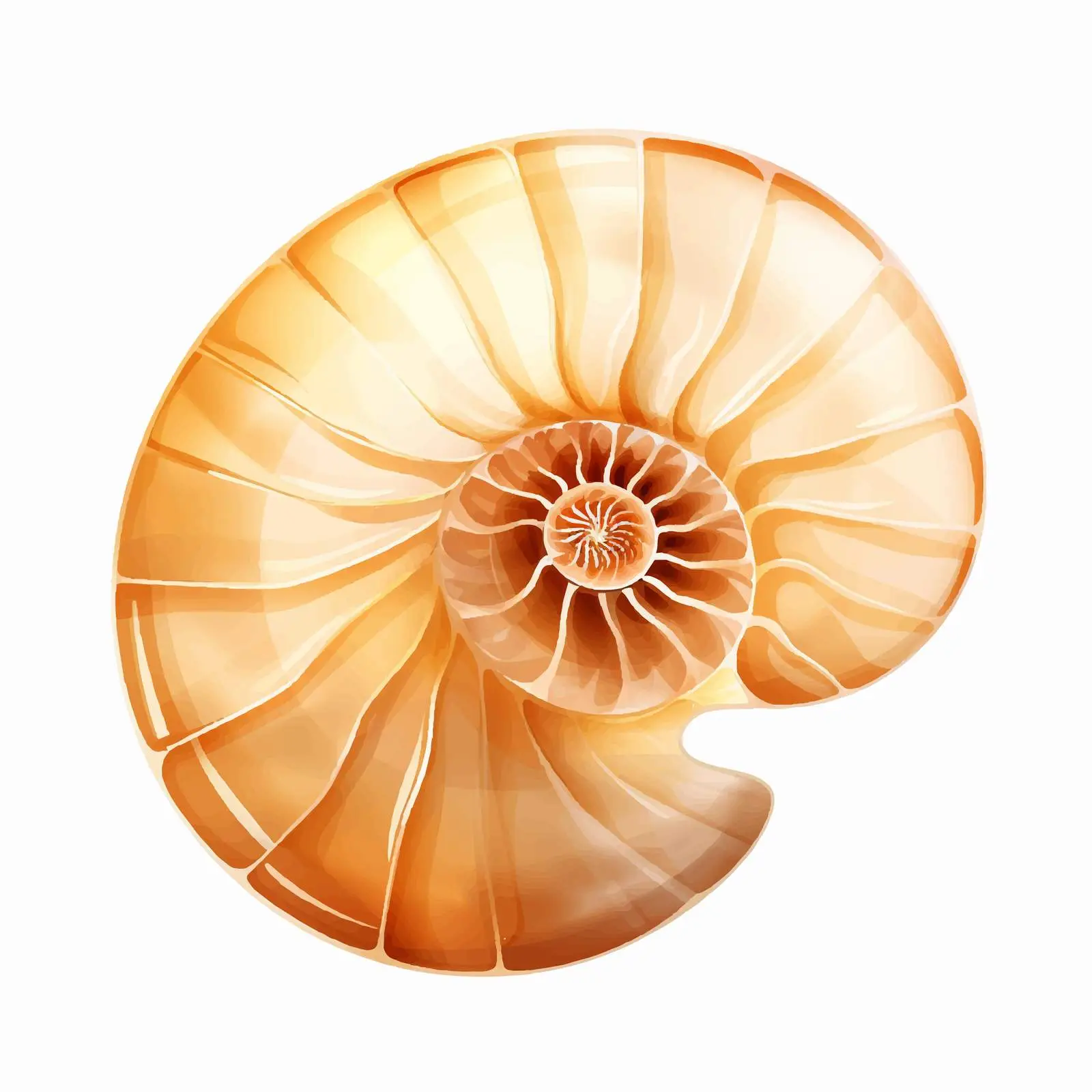 Chambered Nautilus Silhouette Vector Design — free download from Dotvec