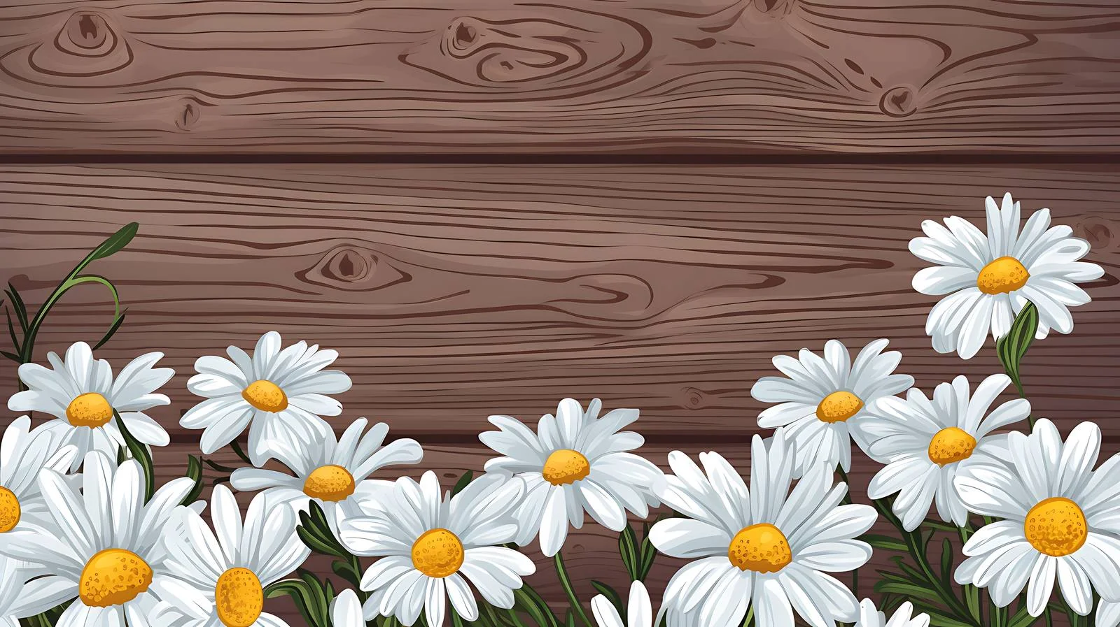 Tranquil Chamomile on Gray Wooden Surface — free download from Dotvec