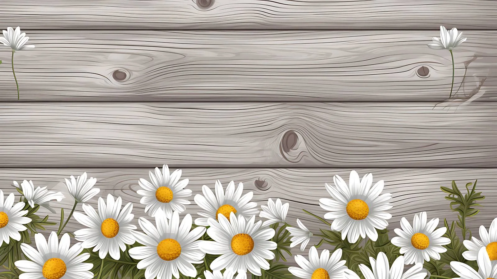 Chamomile in Gray Wooden Gap Image — free download from Dotvec