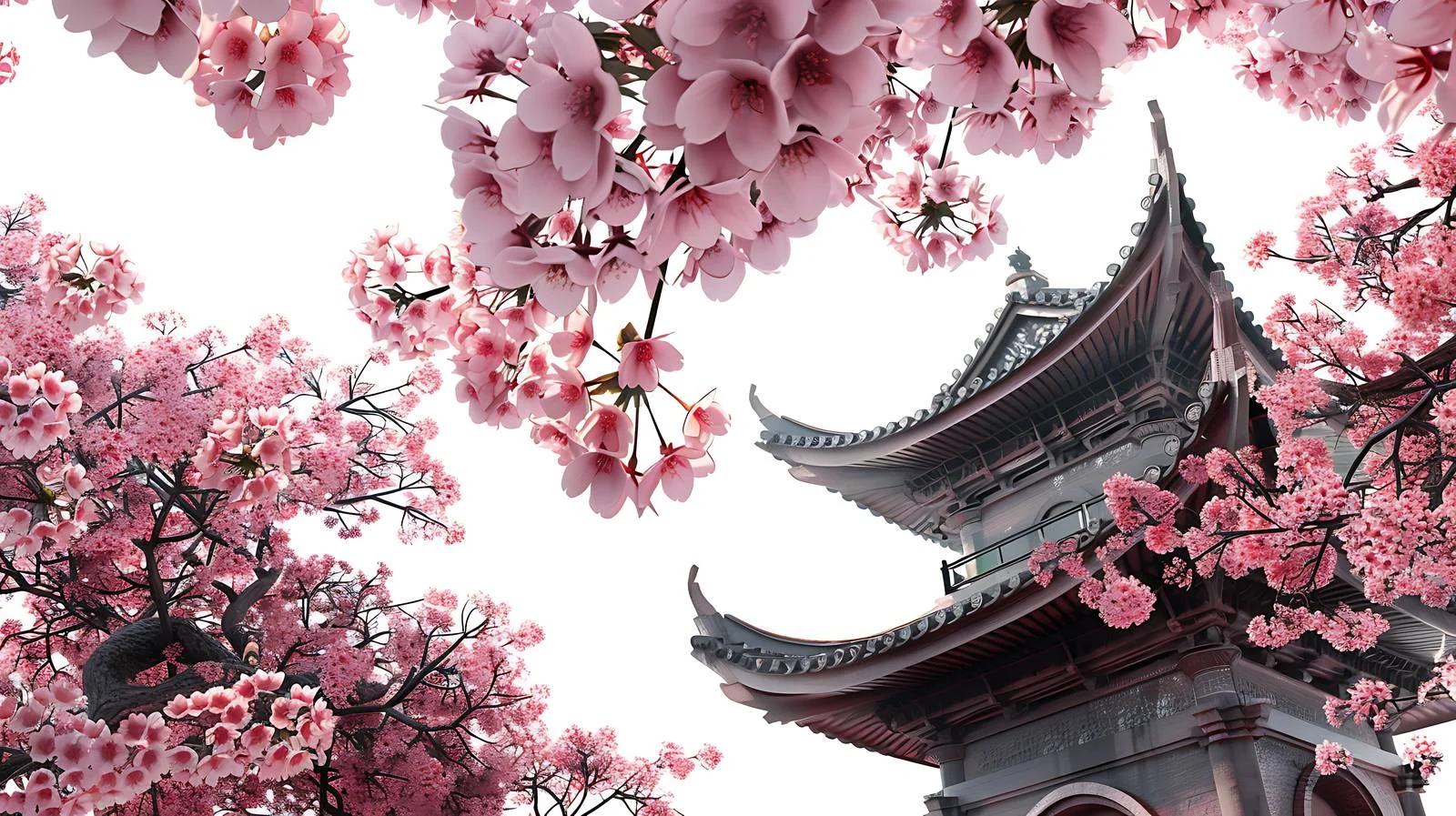 Sakura Blossoms Surround Ancient Building — free download from Dotvec