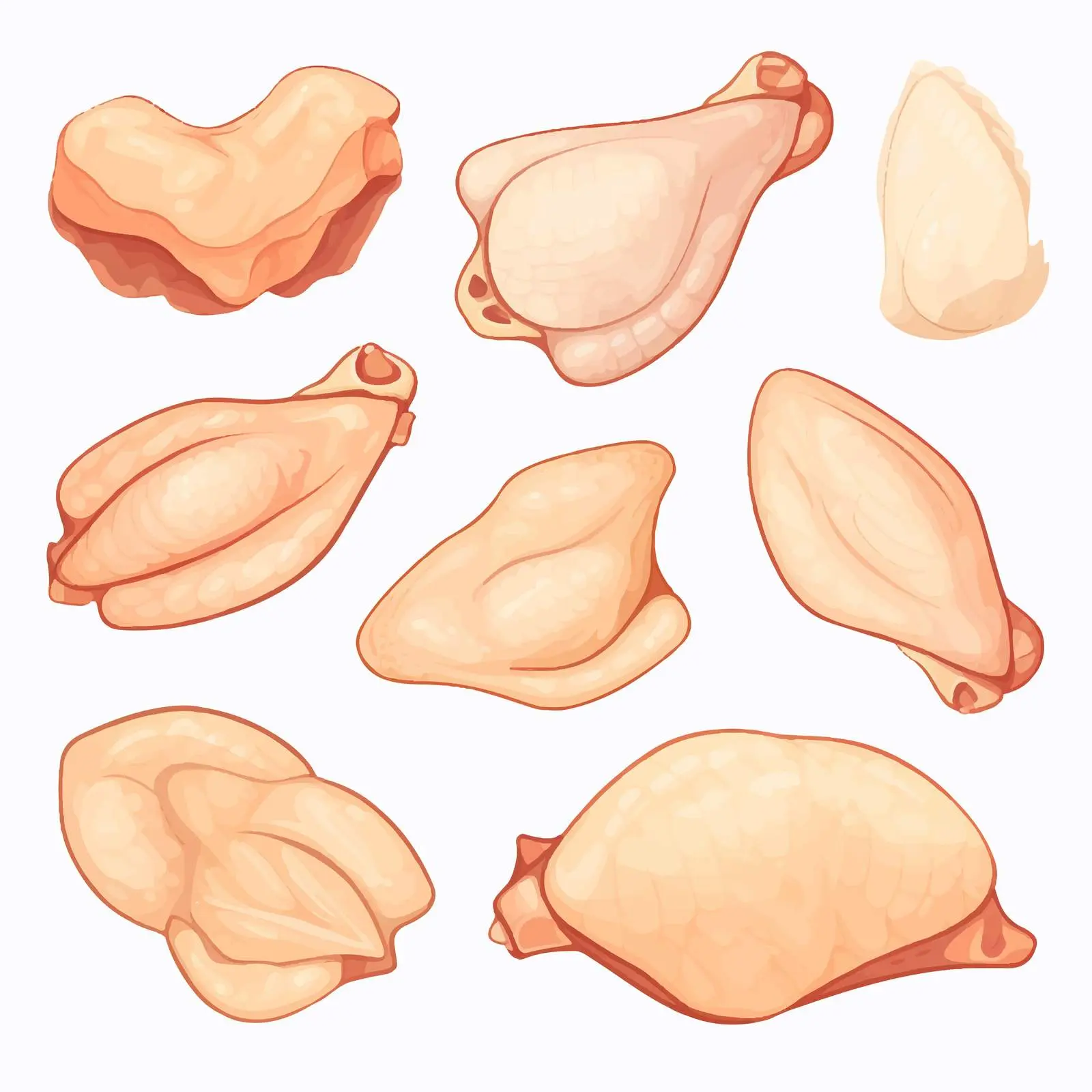 Chicken Meat Vector Illustration on White Background — free download from Dotvec