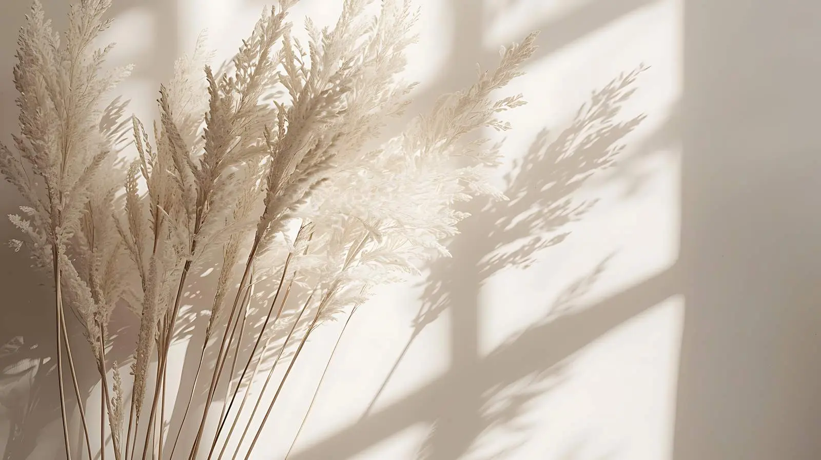 Closeup of Reeds in Sunlight Shadows — free download from Dotvec