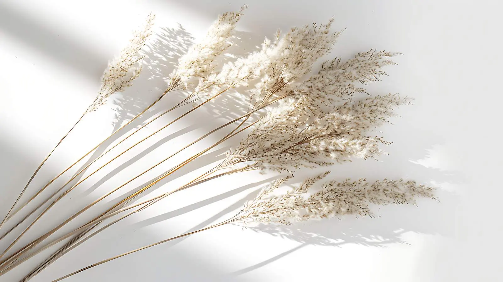 Closeup of Reeds and Foliage in Sunlight — free download from Dotvec