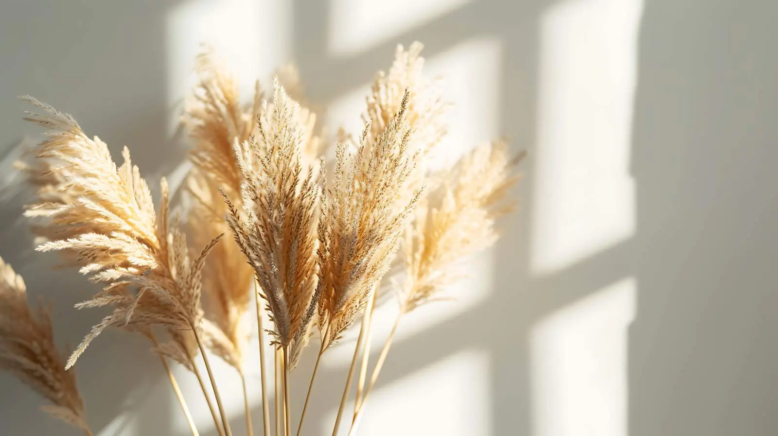 Beige Dry Grass Stems Bouquet Closeup — free download from Dotvec