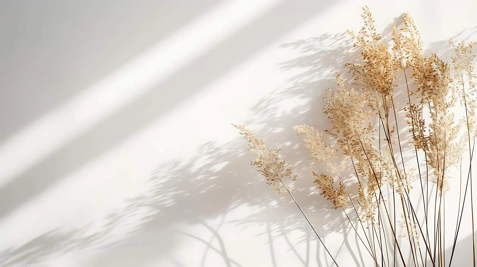Beige Dry Grass Stems Bouquet Closeup — free download from Dotvec