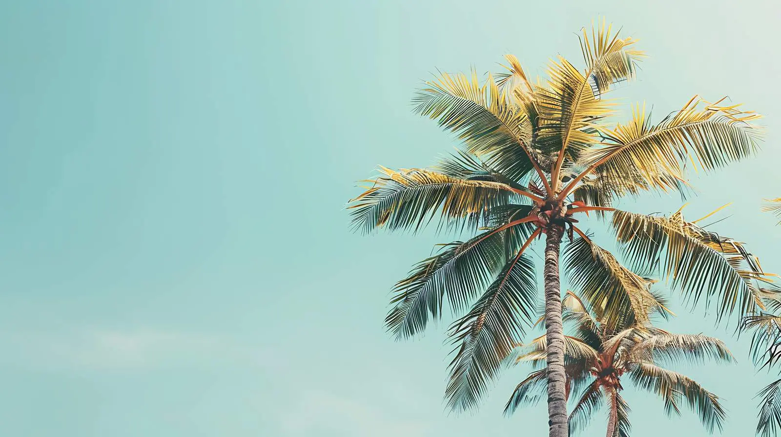 Green Palm Trees Against Blue Sky – free retro image from Dotvec