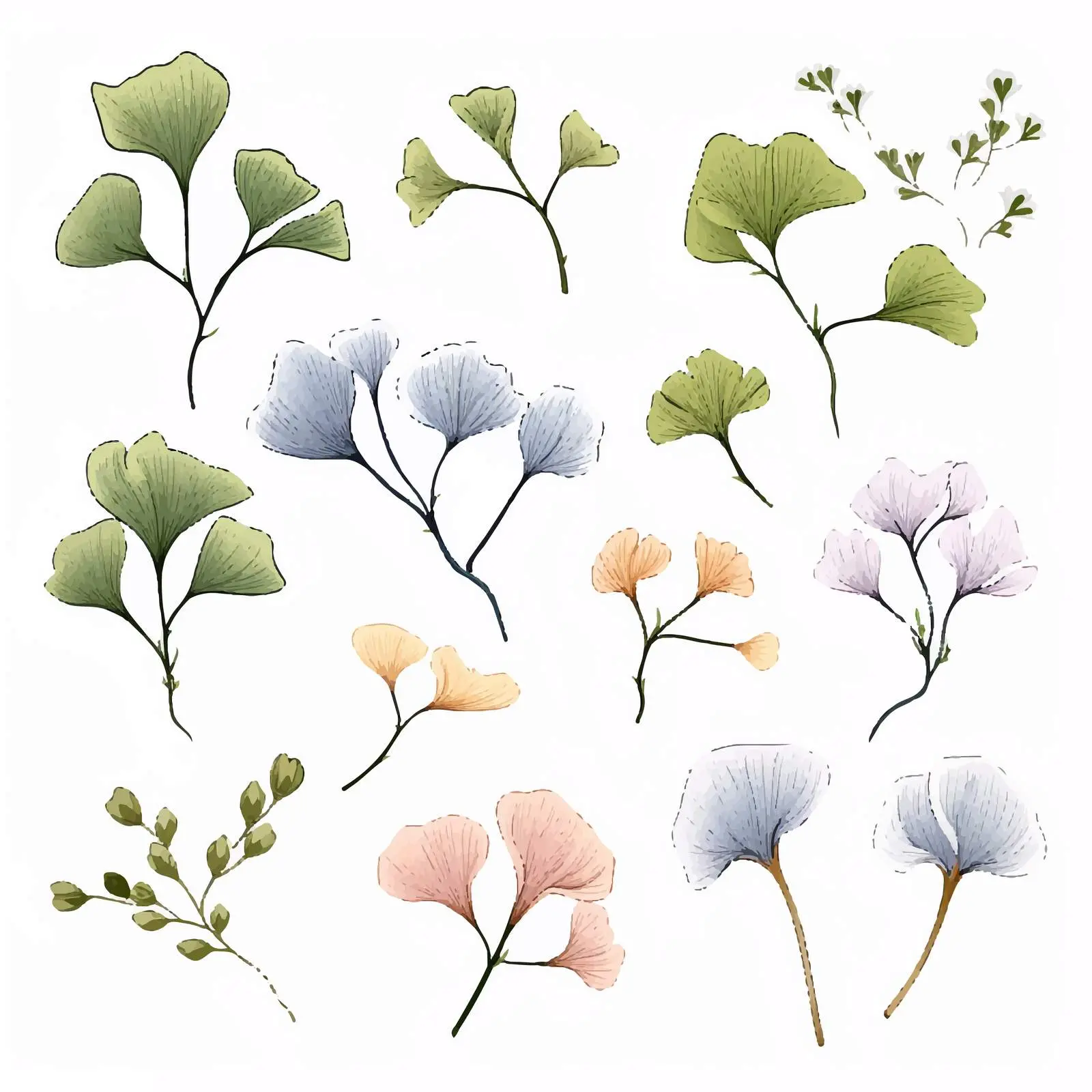 Ginkgo Biloba Branches with Leaves and Flowers – free stylized plants image from Dotvec