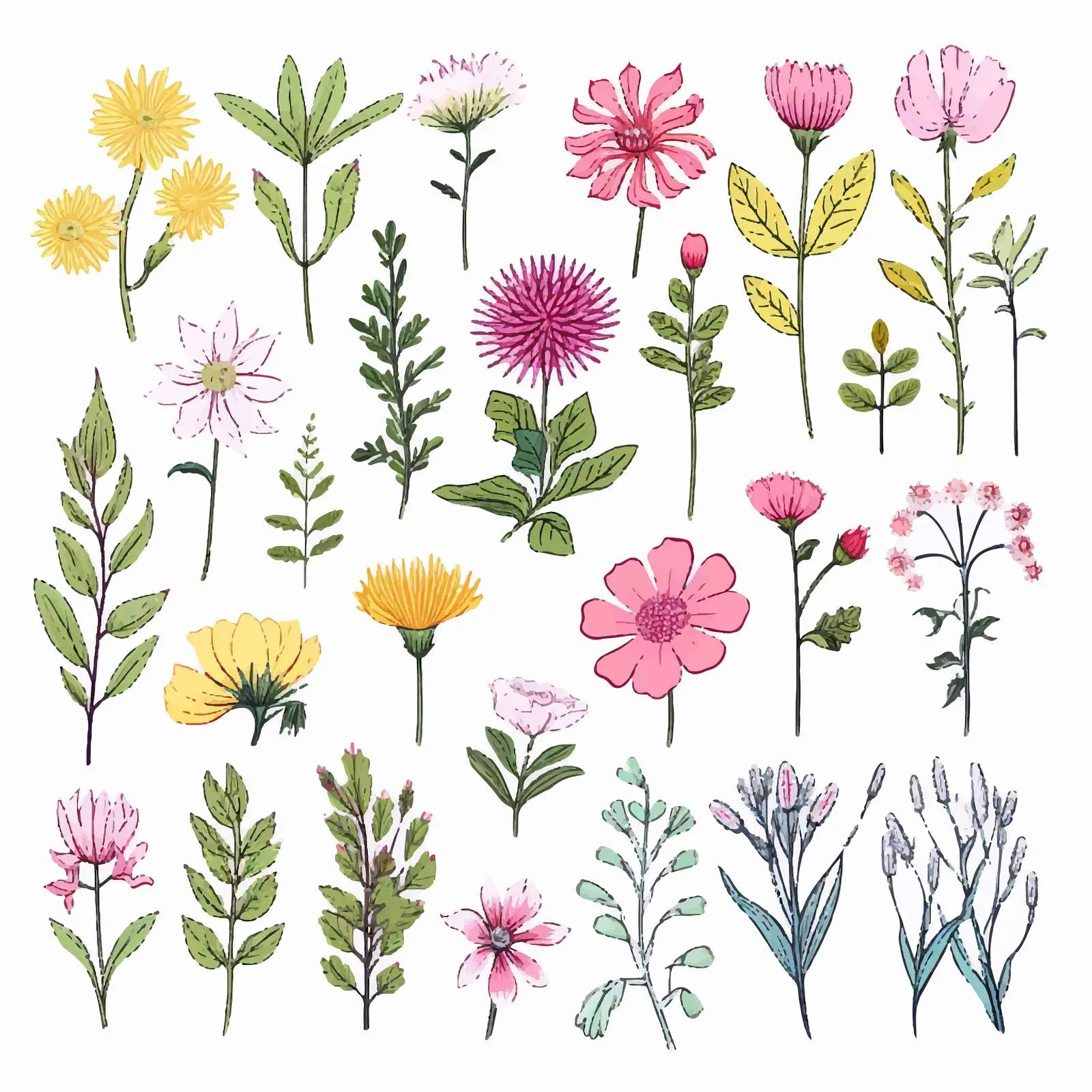 Beautiful Wild Herbs and Flowering Plants Vector — free download from Dotvec