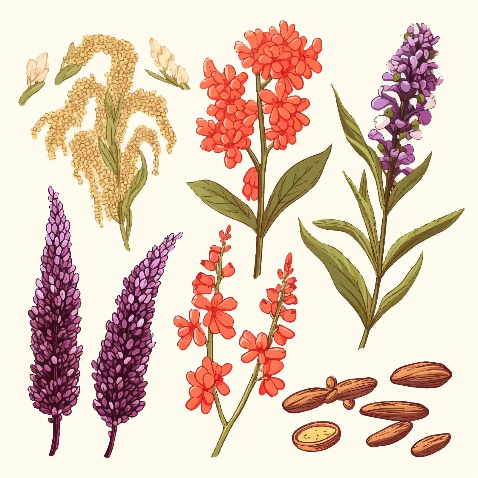 Colorful and Monochrome Quinoa Flow Drawings — free download from Dotvec