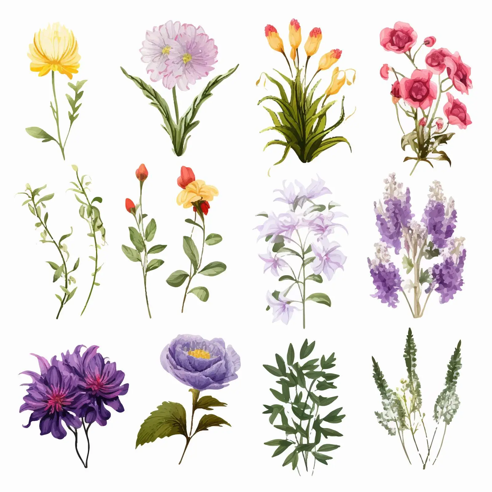 Detailed Botanical Flower Drawings Collection — free download from Dotvec