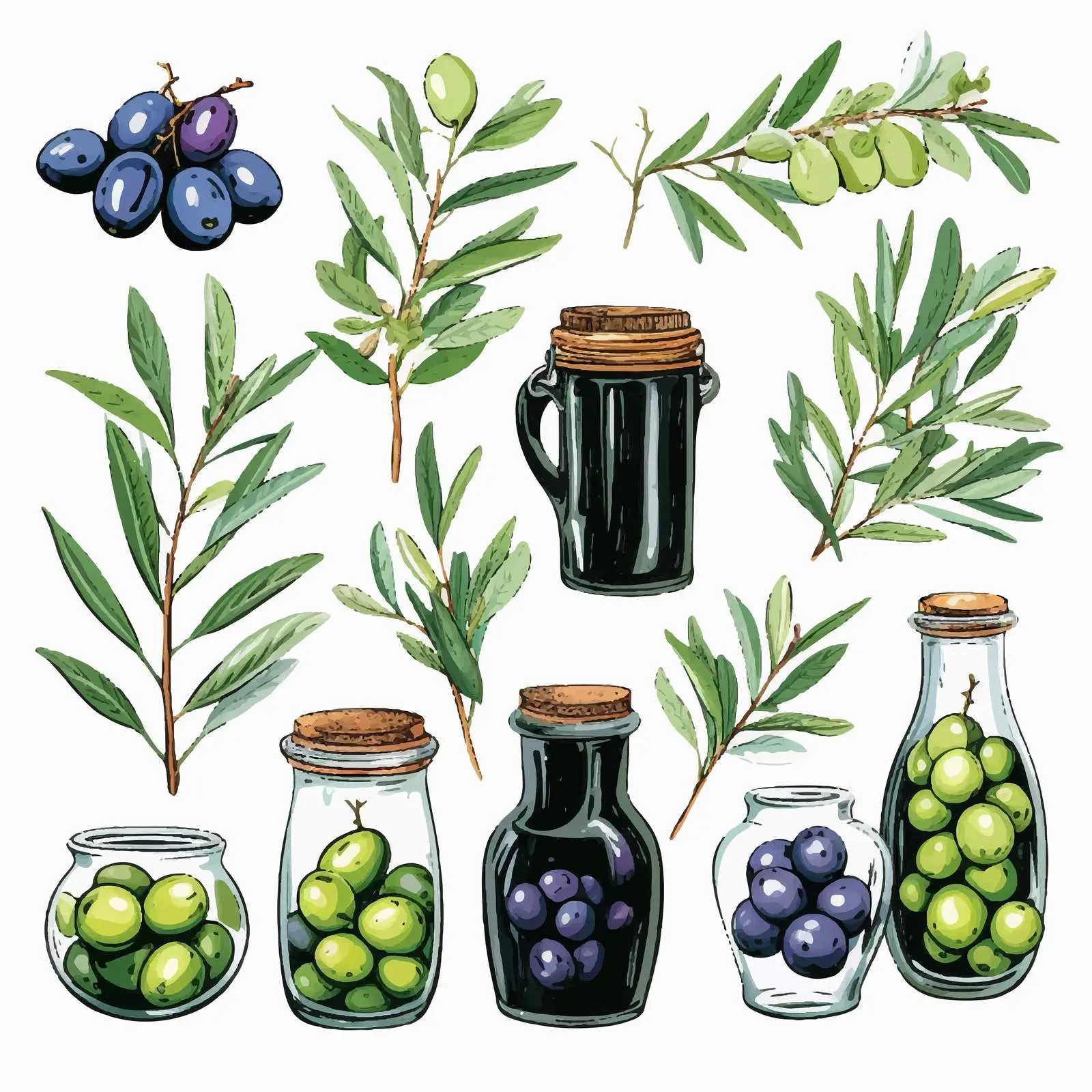 Olive Tree Branch Drawings - Vector Collection — free download from Dotvec