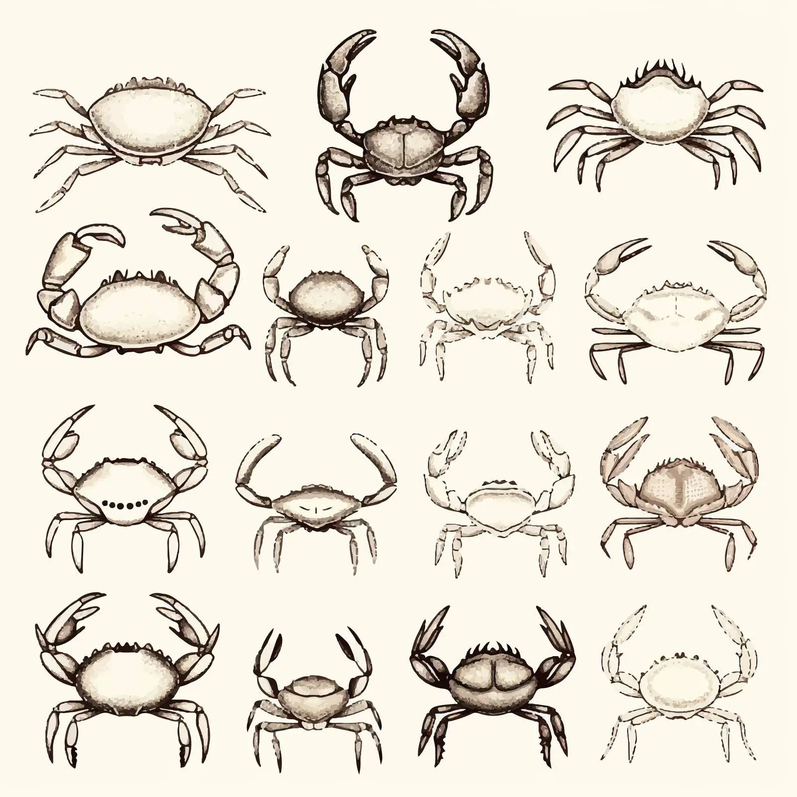 Elegant Crab Illustrations Collection — free download from Dotvec
