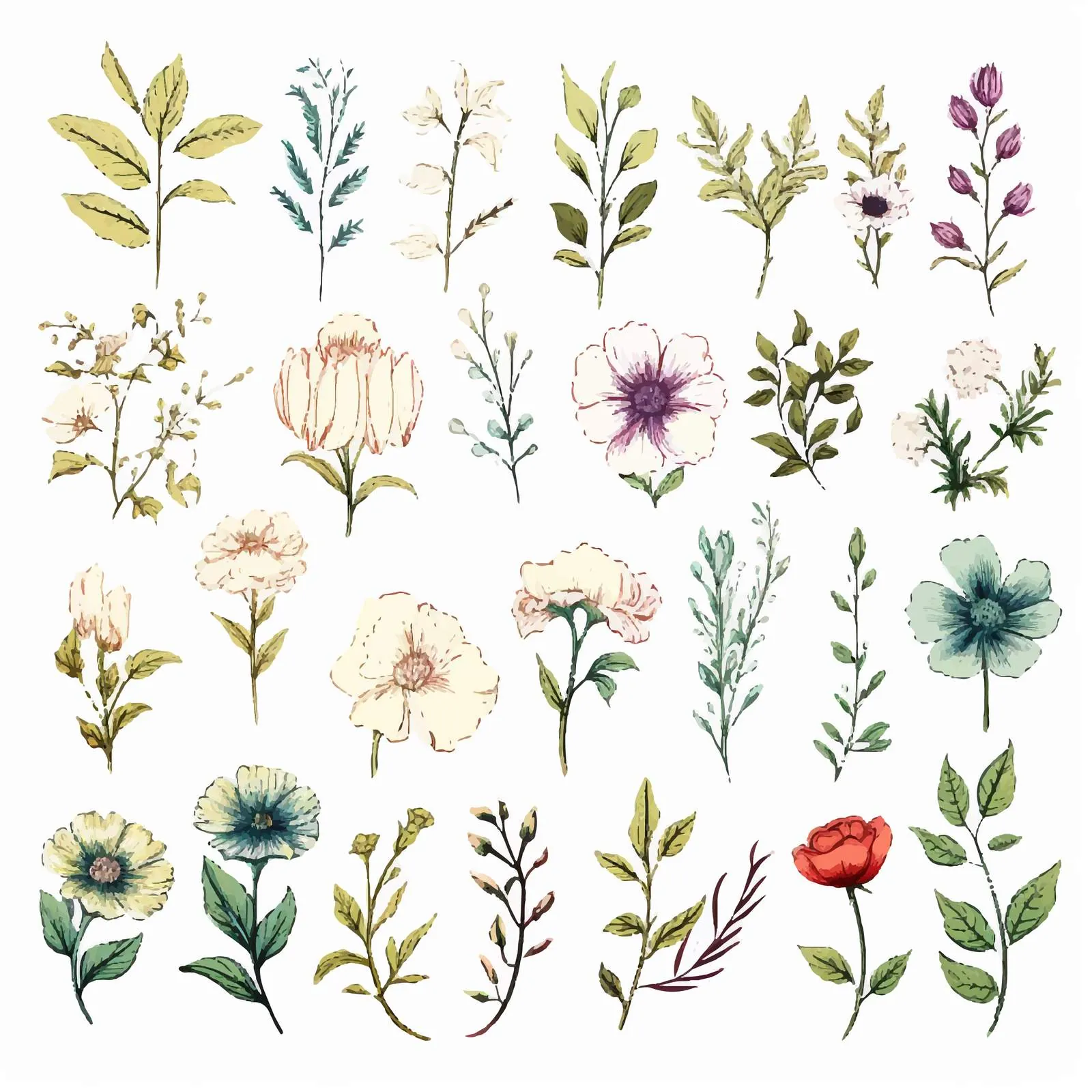 Hand-Drawn Garden Flowers and Leaves Vector Collection – free botanical pattern image from Dotvec