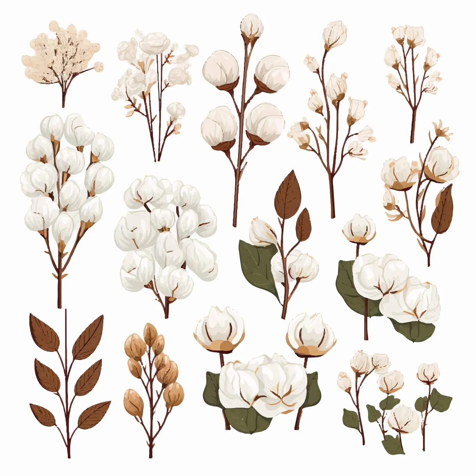 Raw Cotton Plant Elements Vectors Collection — free download from Dotvec
