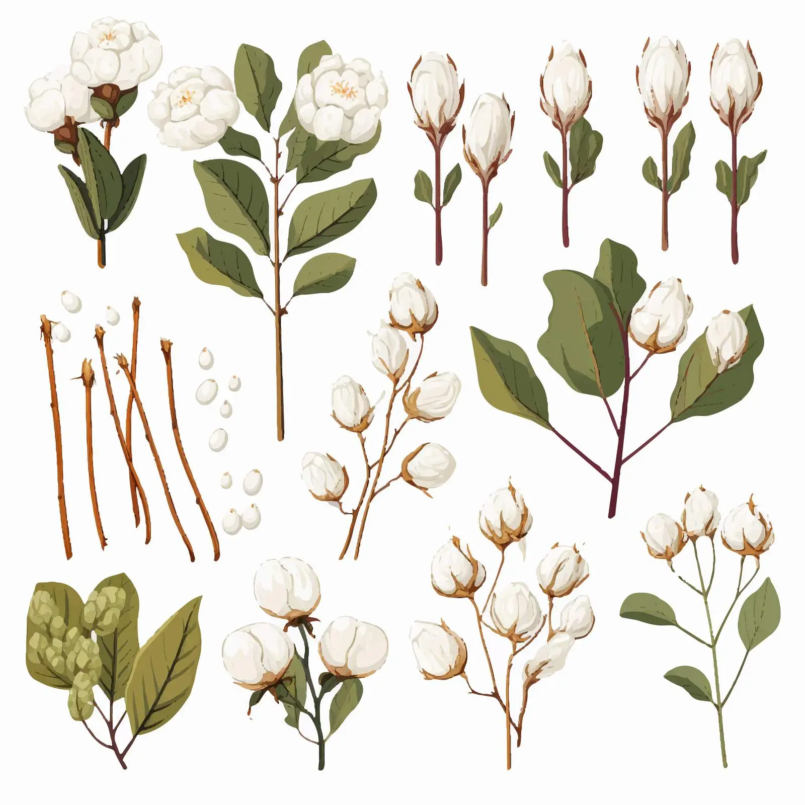 Raw Cotton Branches, Leaves, Bolls, and Flowers — free download from Dotvec