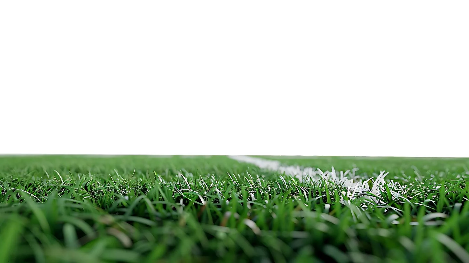 Intense college football action along goal — free download from Dotvec