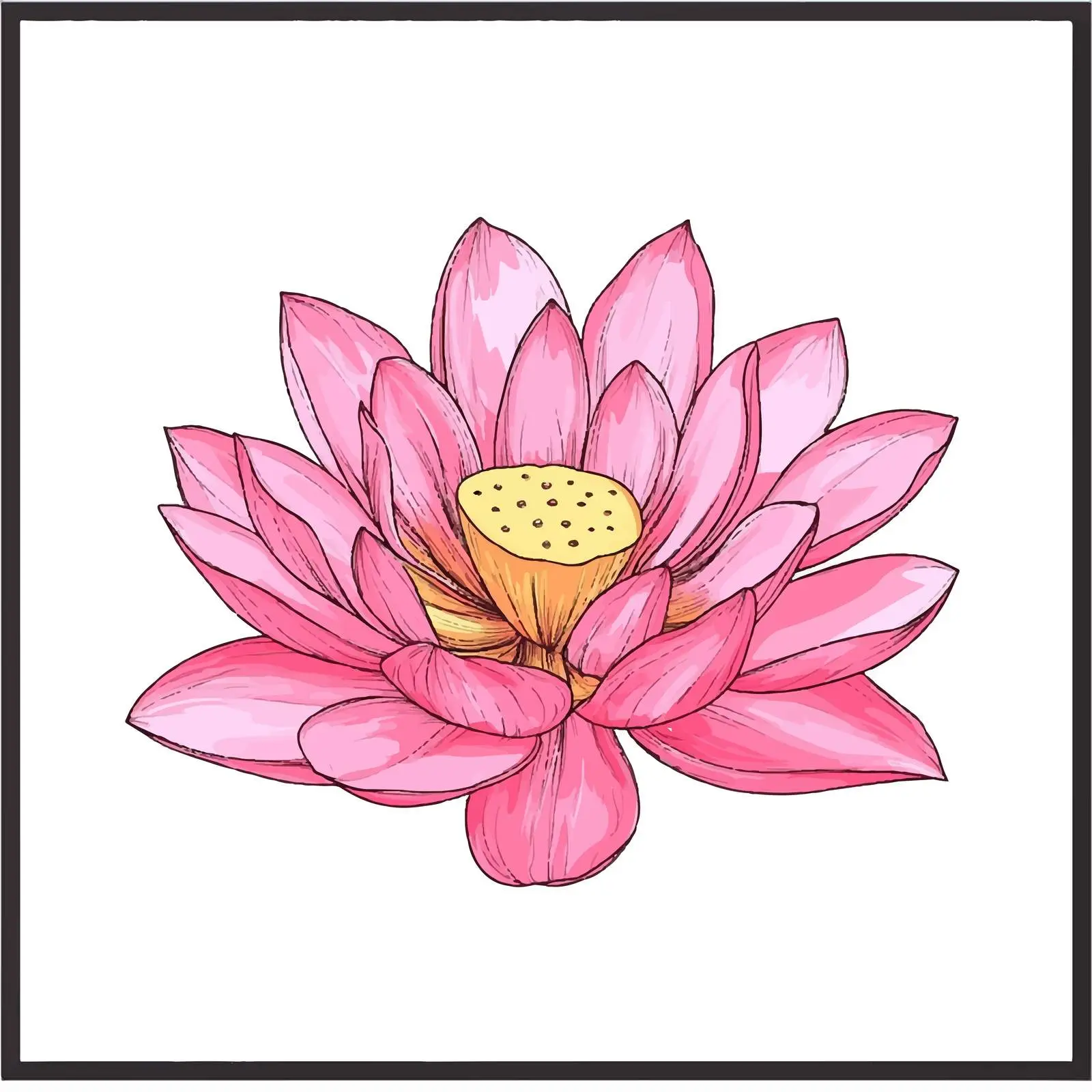 Hand-Drawn Pink Lotus Flower Sketch — free download from Dotvec