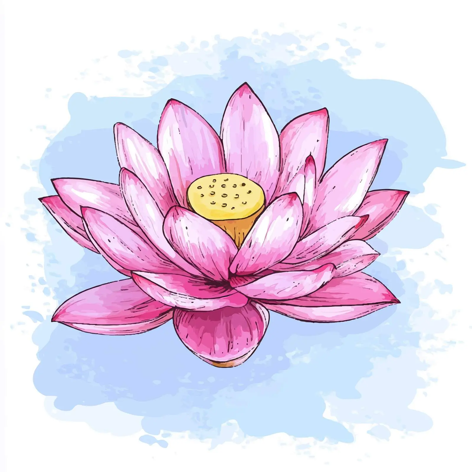 Hand-Drawn Pink Lotus Flower Sketch — free download from Dotvec
