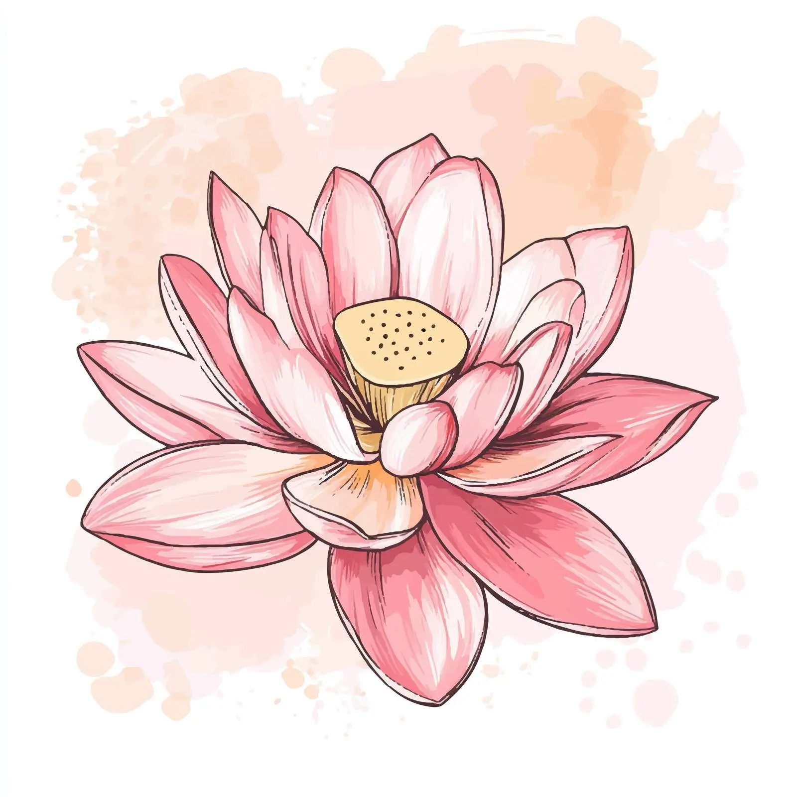 Pink Lotus Flower Spa Sketch — free download from Dotvec