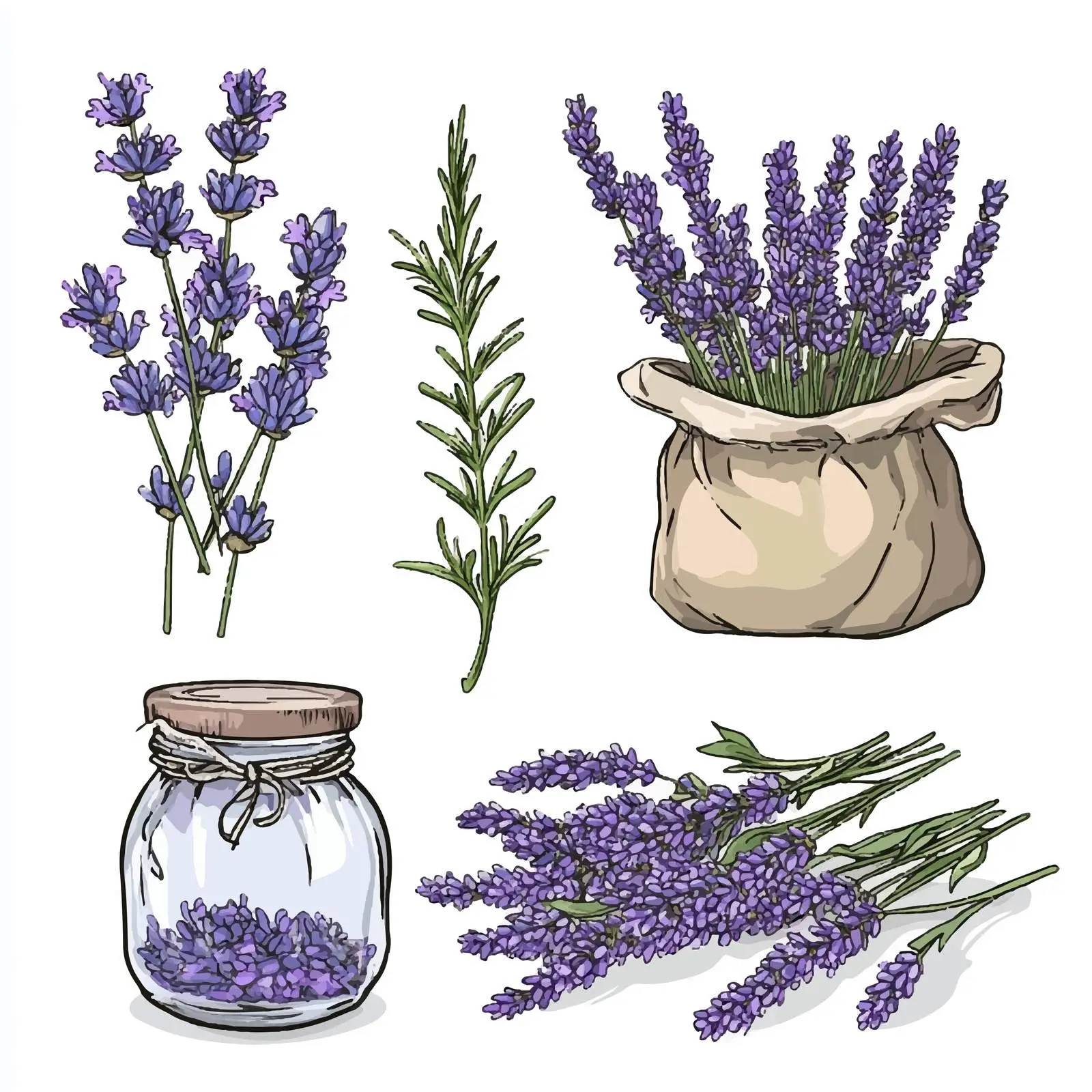 Vibrant Lavender Hand-Drawn Sketches — free download from Dotvec