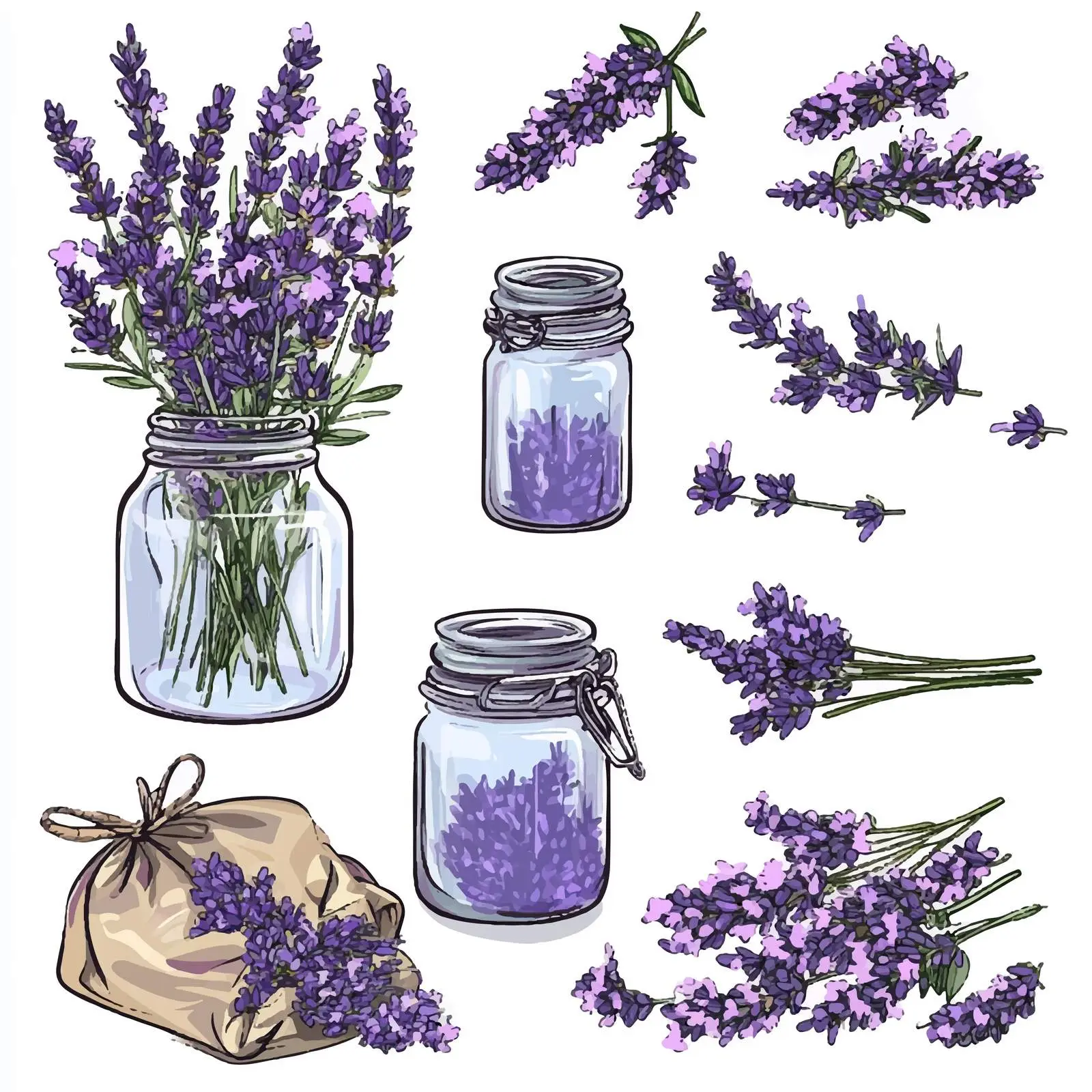 Colorful Hand-Drawn Lavender Sketches — free download from Dotvec