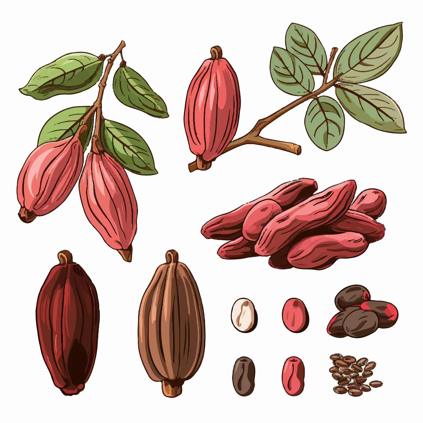 Colorful Natural Drawing of Ripe Fruits — free download from Dotvec