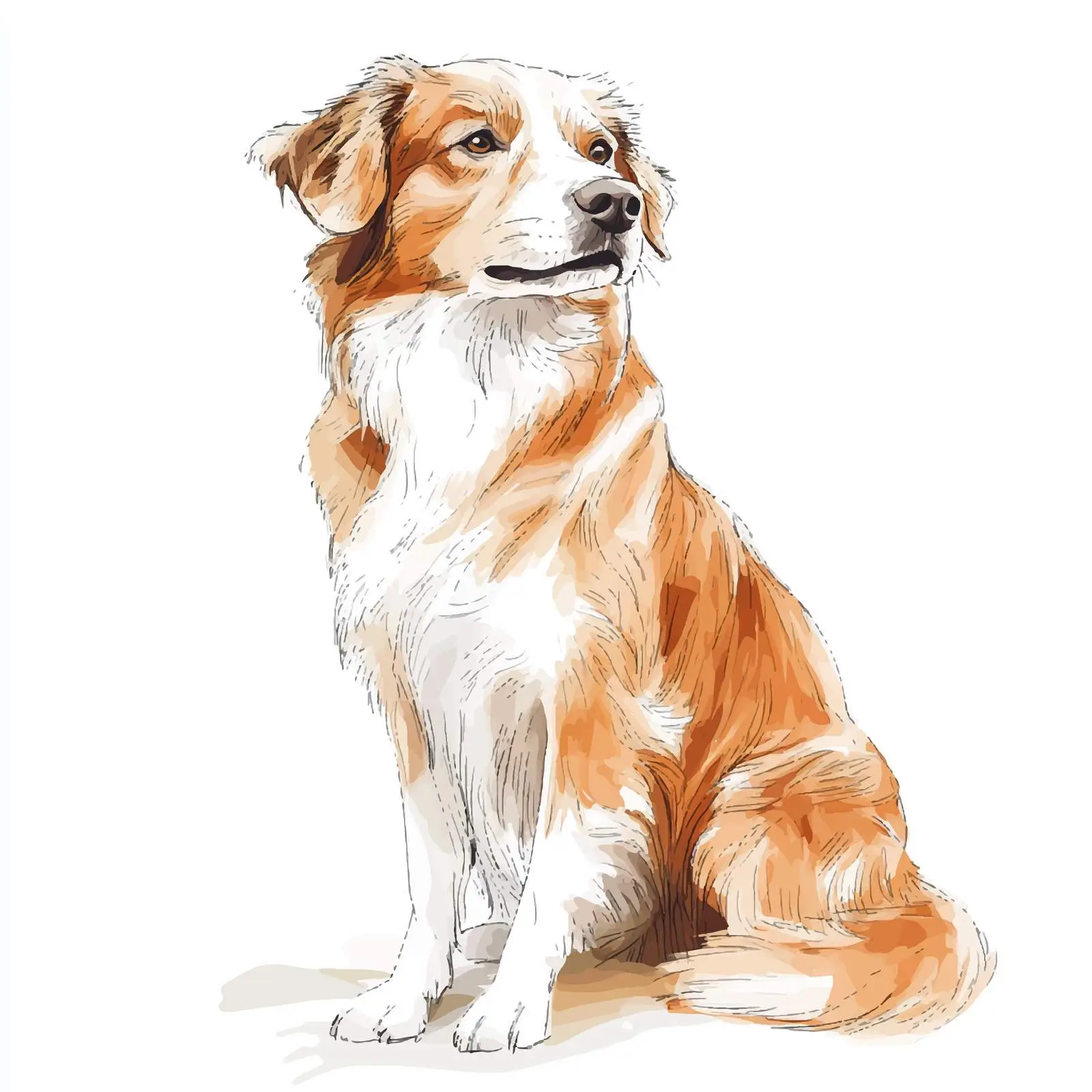 Colorful Hand-Drawn Dog Watercolor Sketch — free download from Dotvec