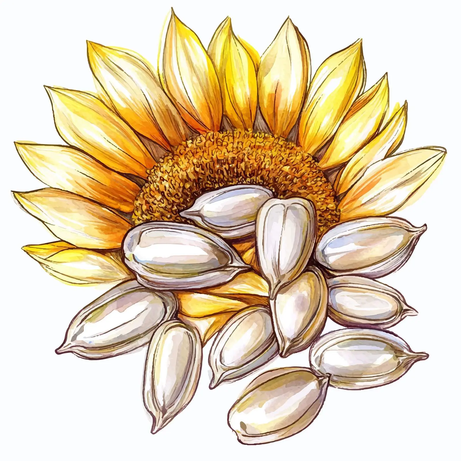 Hand-Drawn Colorful Sunflower Sketch — free download from Dotvec