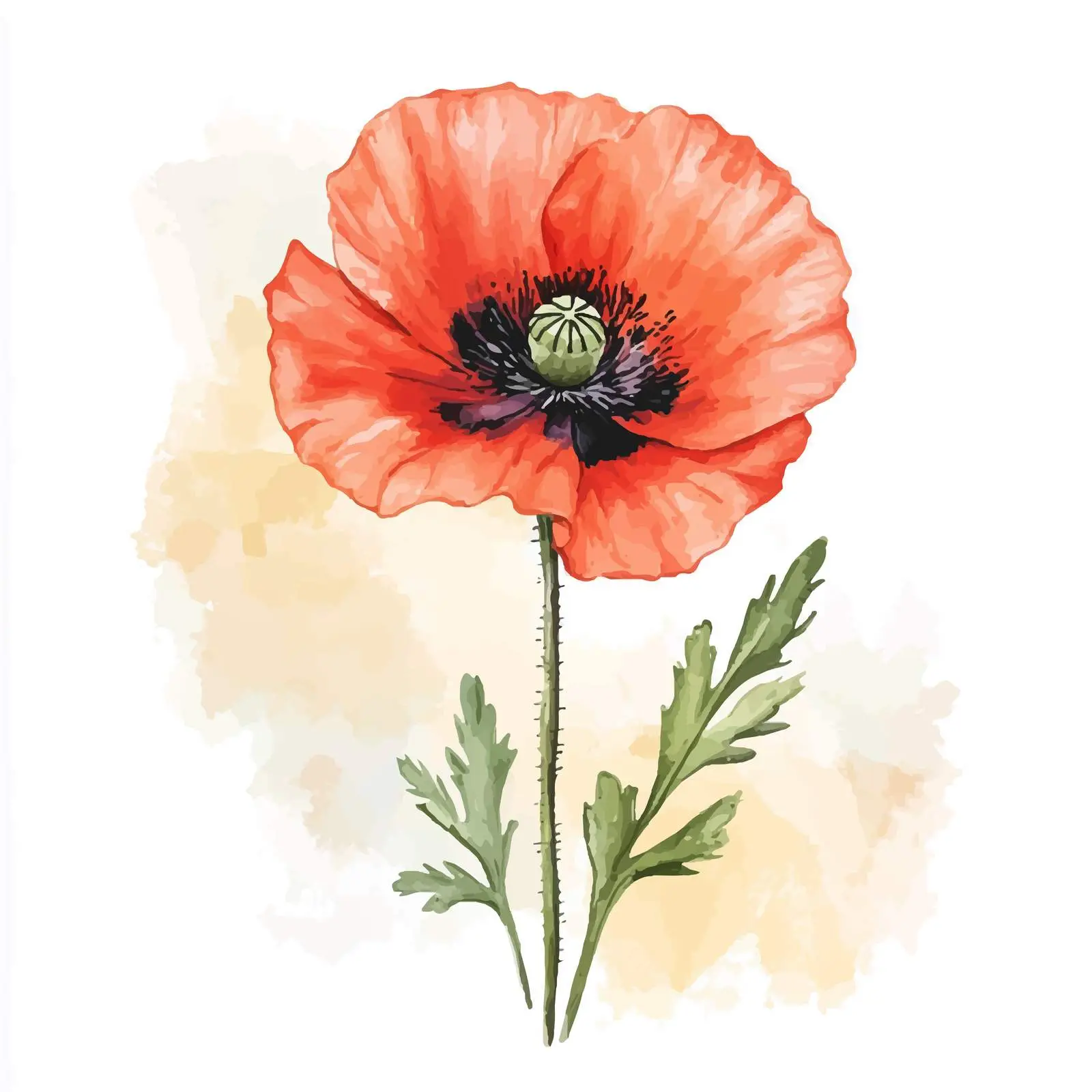 Vibrant Hand-Drawn Poppy Flower Sketch — free download from Dotvec