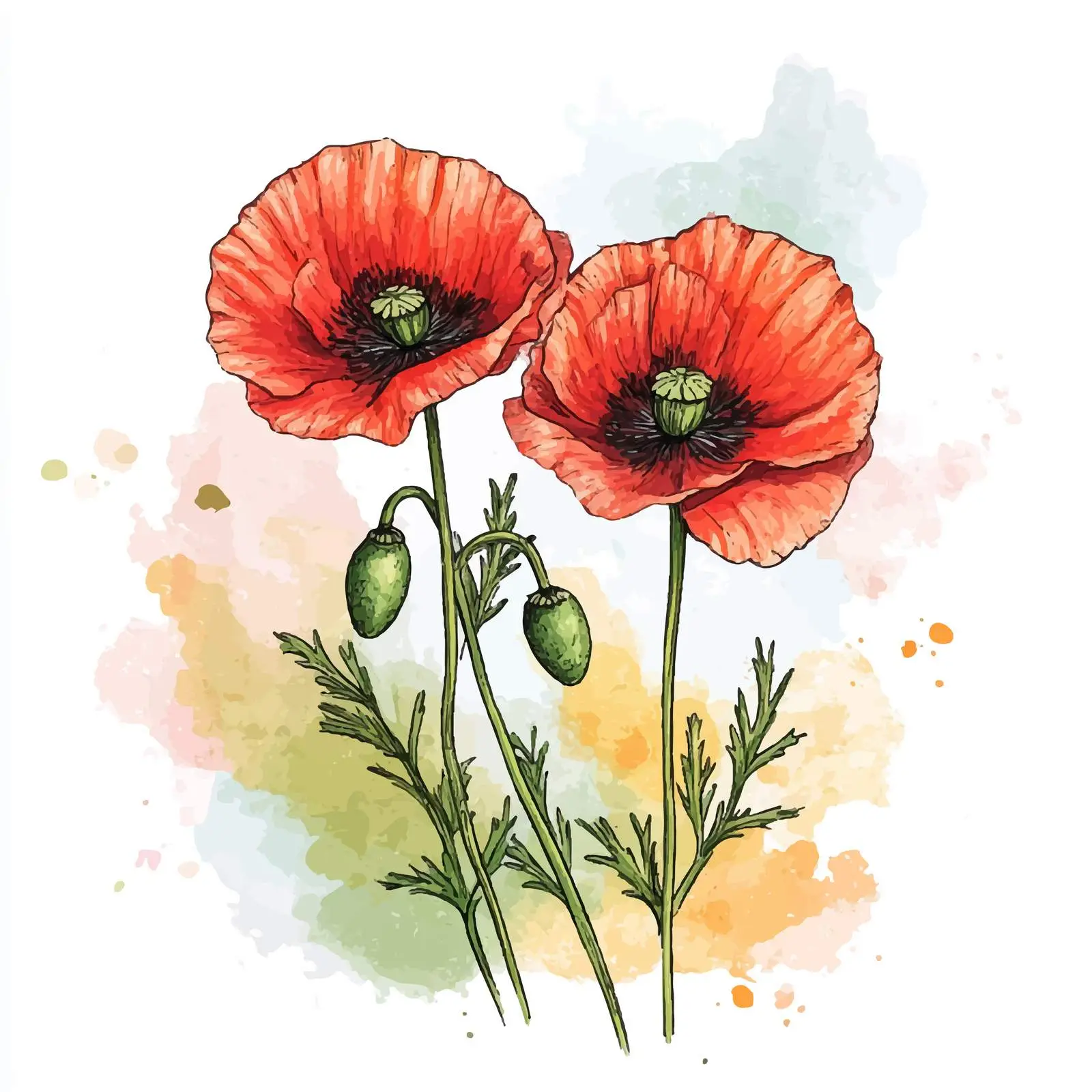Colorful Hand-Drawn Poppy Flower Sketch — free download from Dotvec