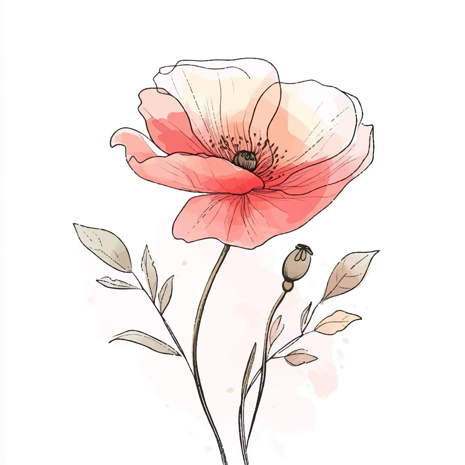 Colorful Hand-Drawn Blooming Poppy — free download from Dotvec