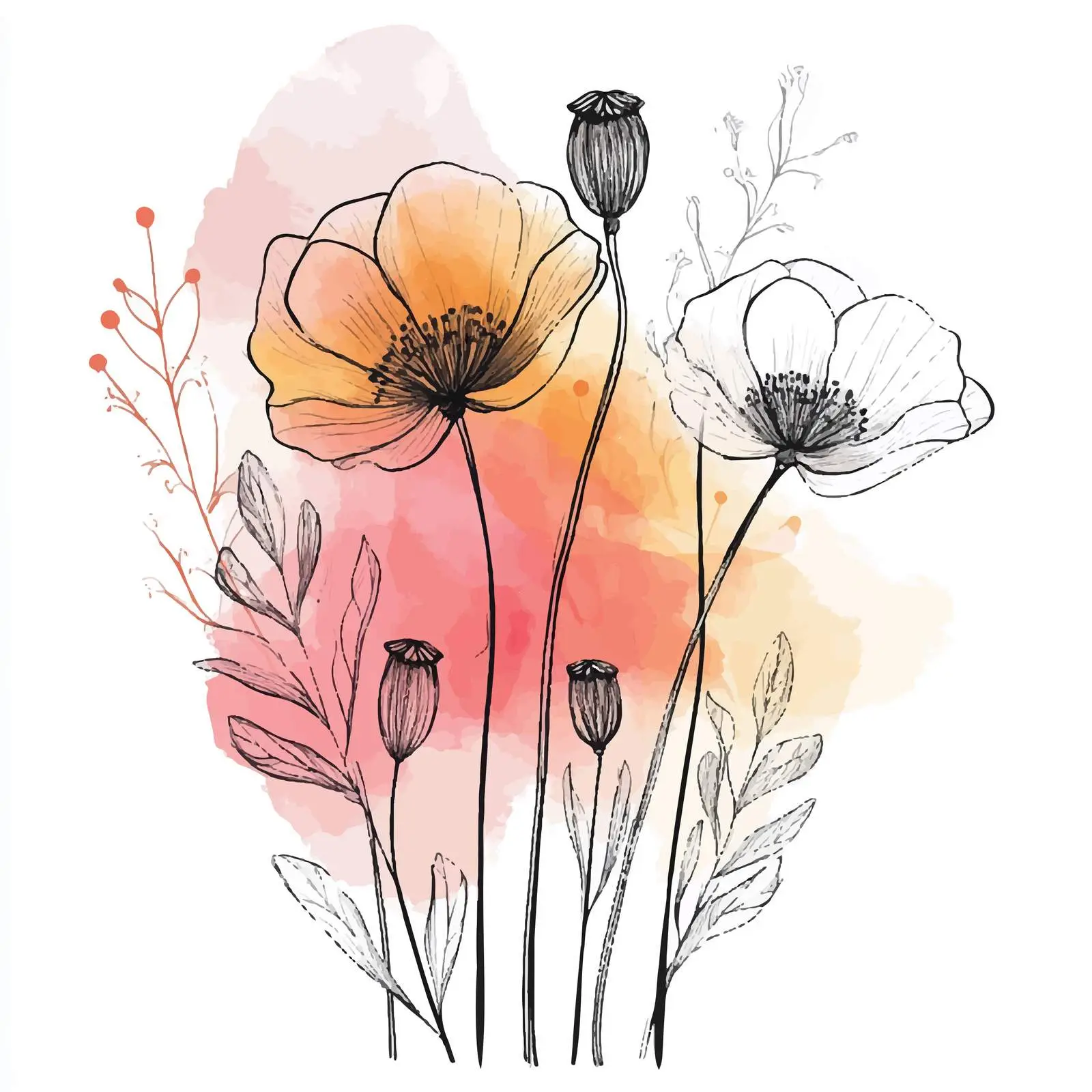 Vibrant Hand-Drawn Poppy Watercolor — free download from Dotvec