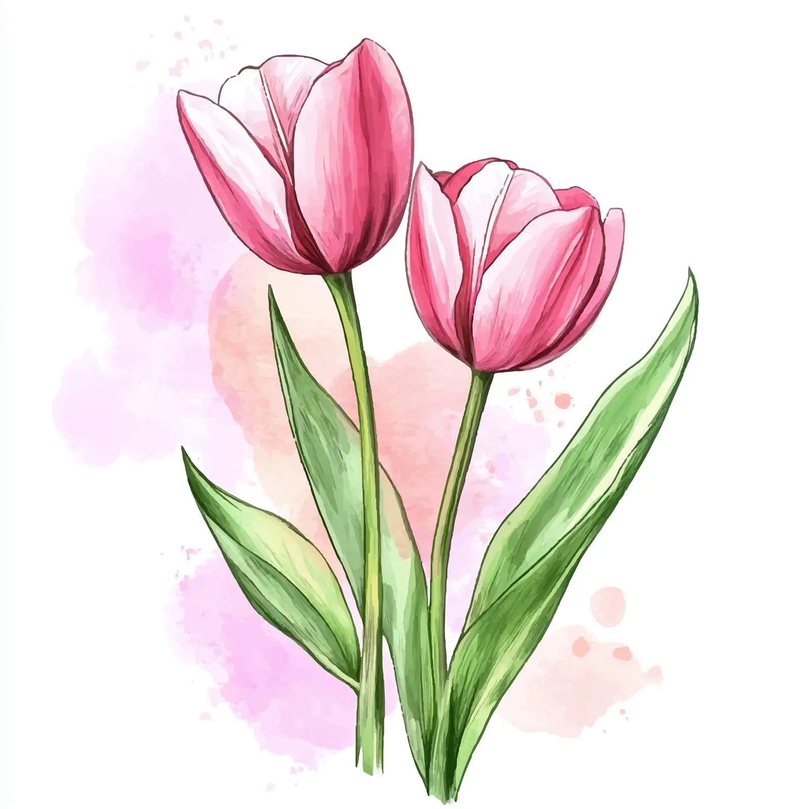Colorful Hand-Drawn Tulip Illustration — free download from Dotvec