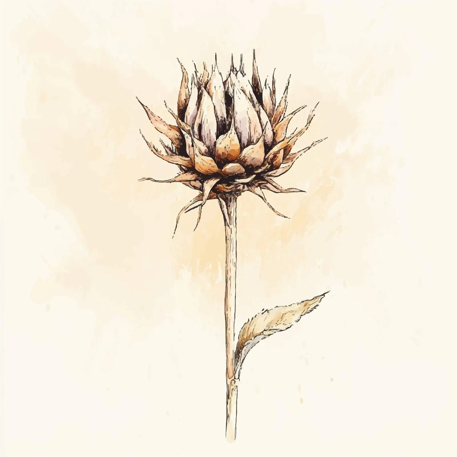 Hand-Drawn Sunflower Watercolor Sketch — free download from Dotvec