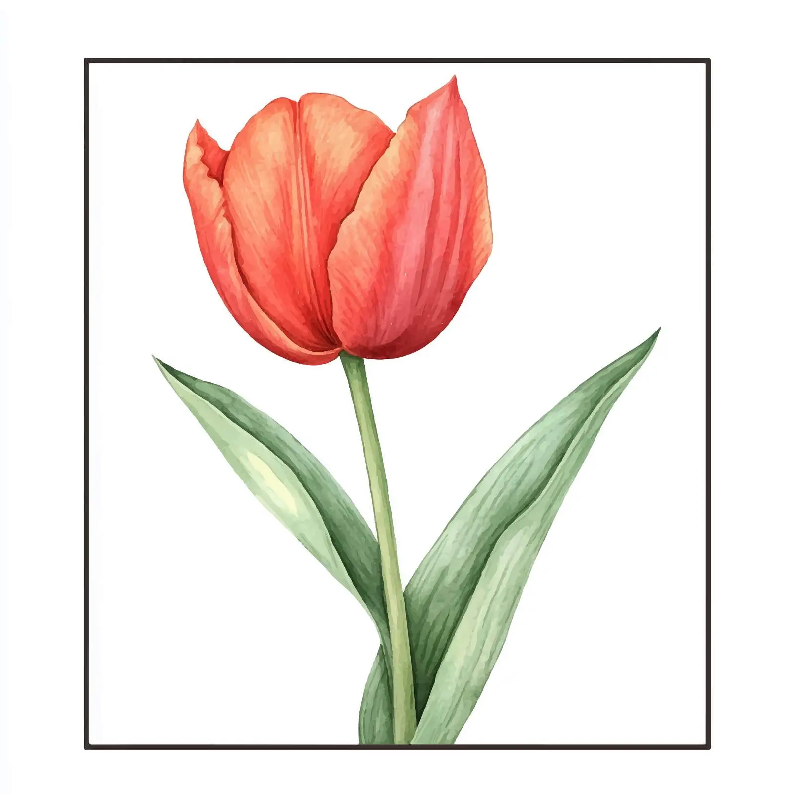 Hand-Drawn Closed Tulip Flower Sketch — free download from Dotvec