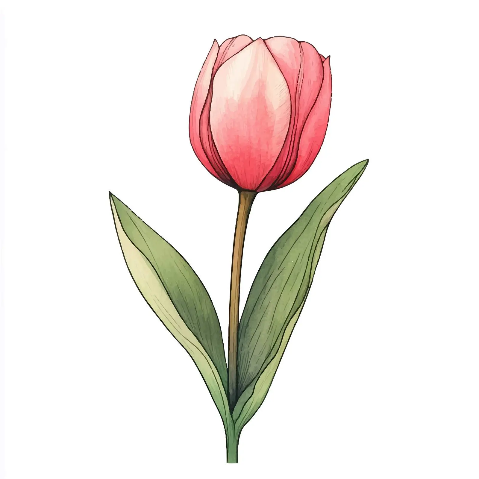 Colorful Hand-Drawn Tulip Sketch — free download from Dotvec