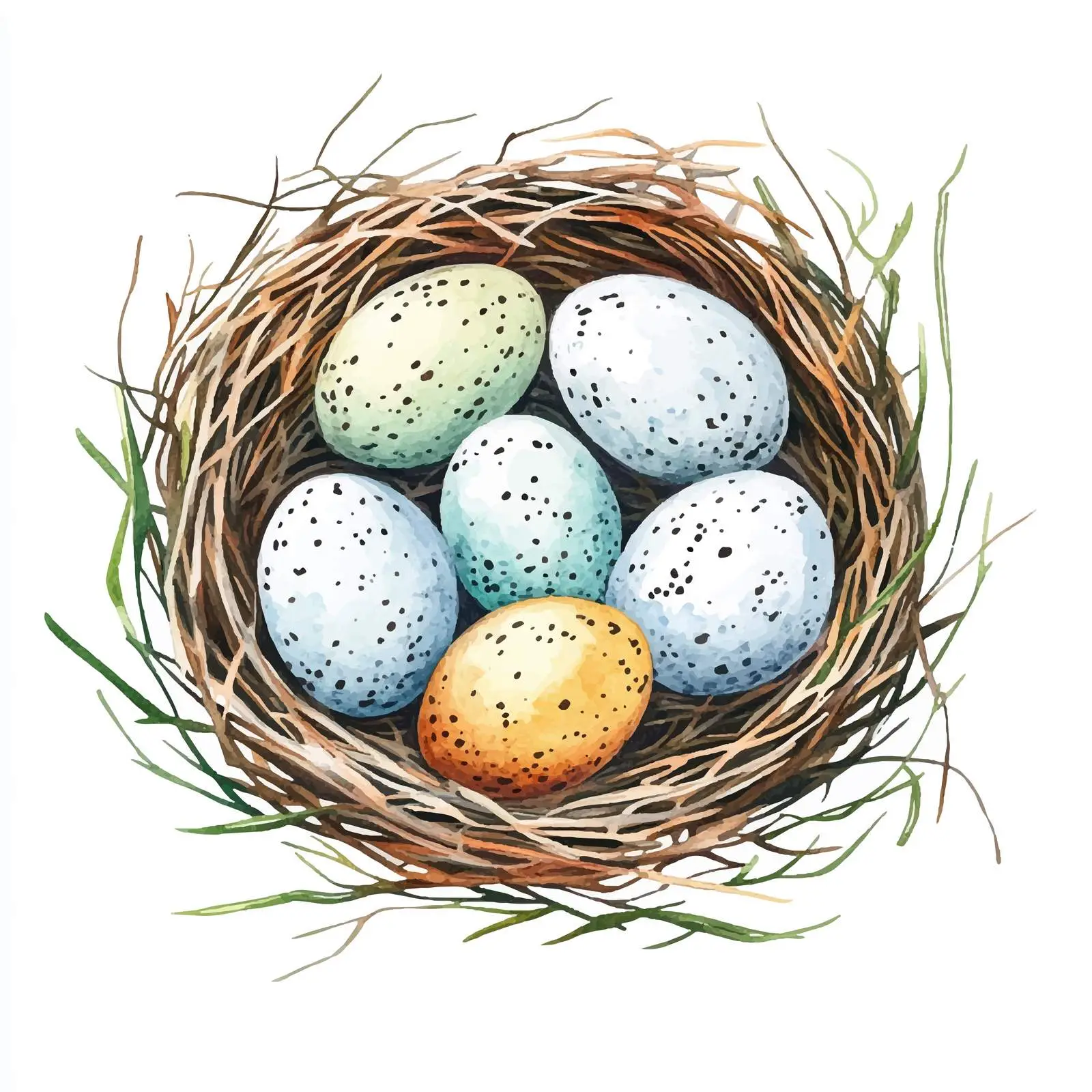 Colorful Hand-Drawn Quail Nest Illustration — free download from Dotvec