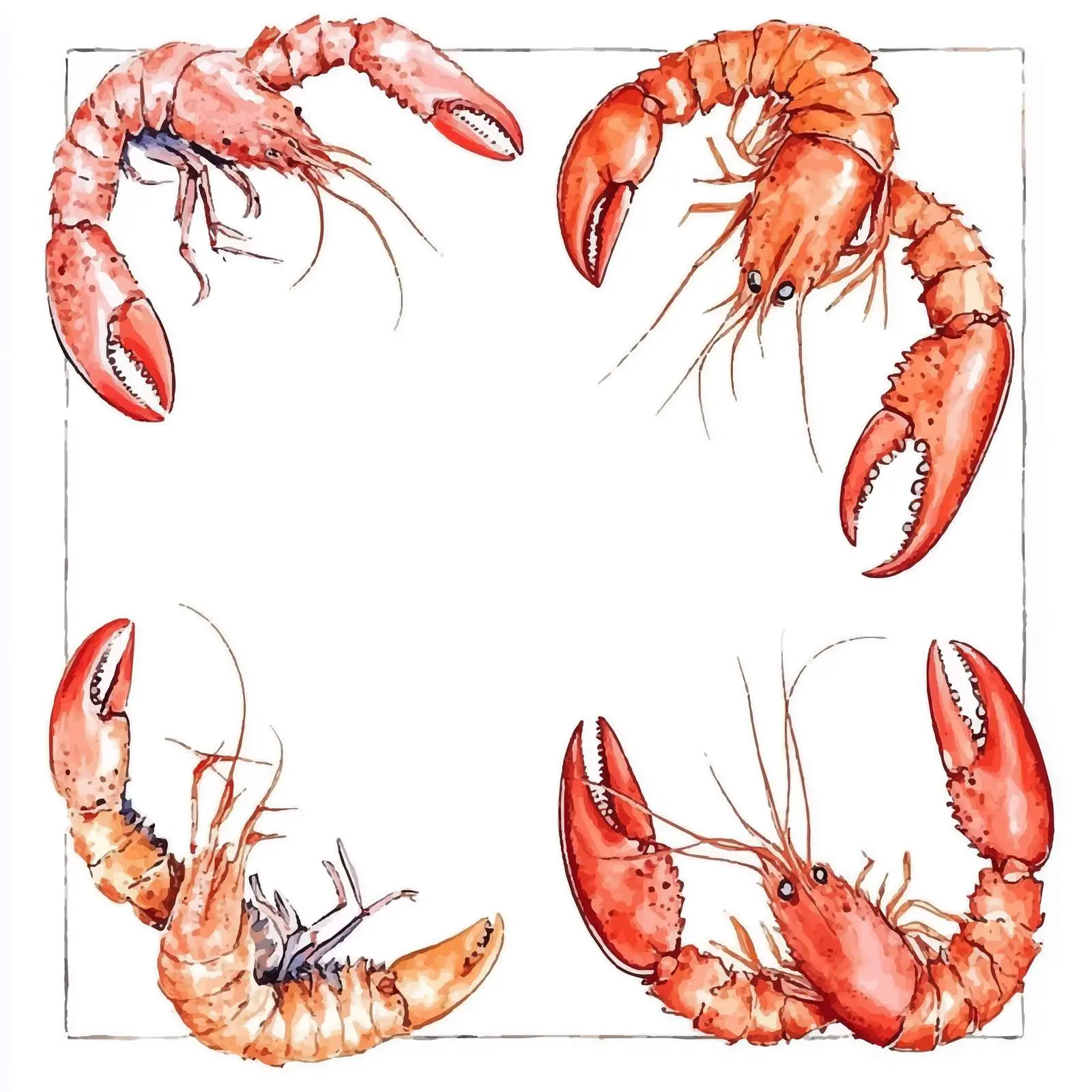 Hand-Drawn Red Shrimp Watercolor — free download from Dotvec