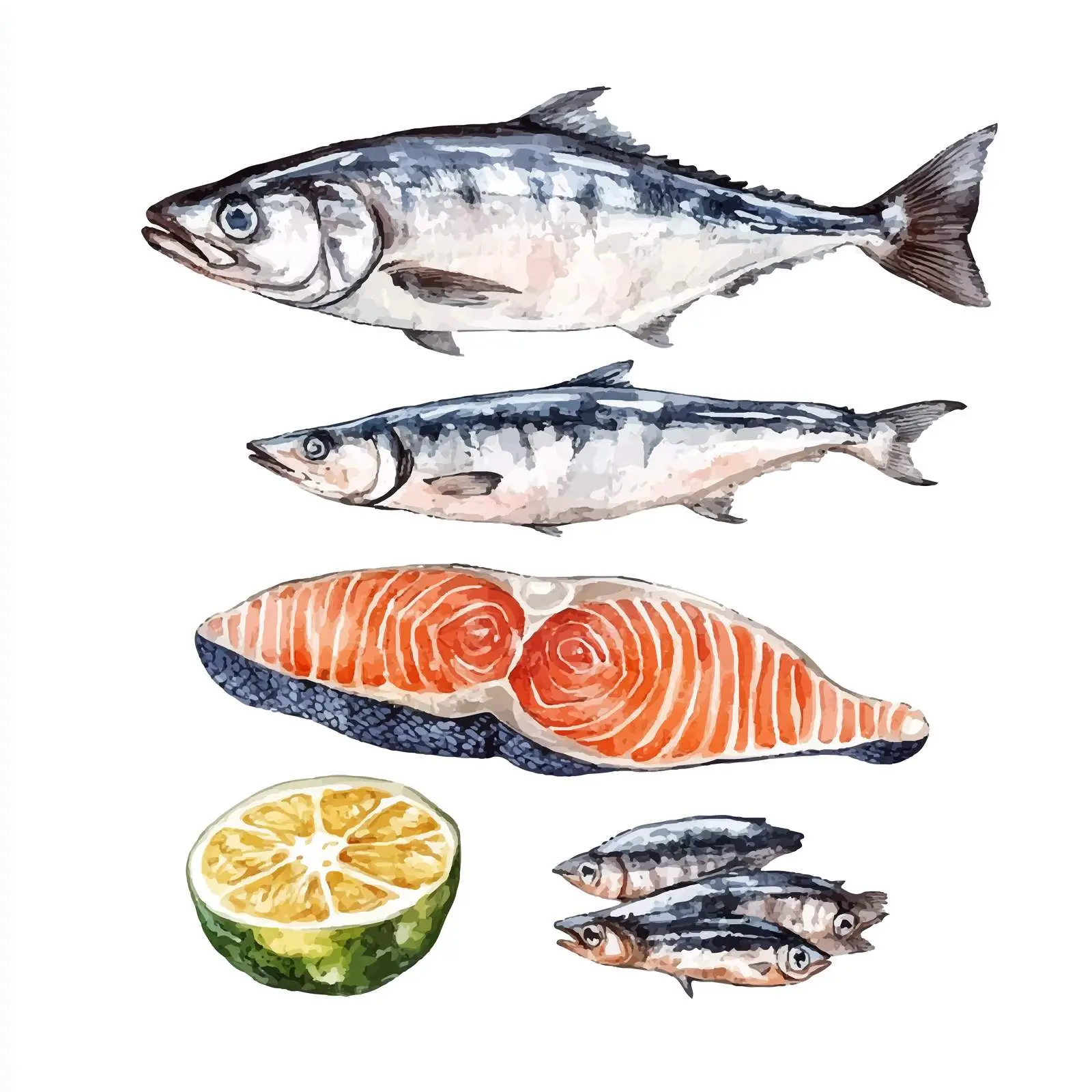 Colorful Hand-Drawn Seabass Illustration — free download from Dotvec