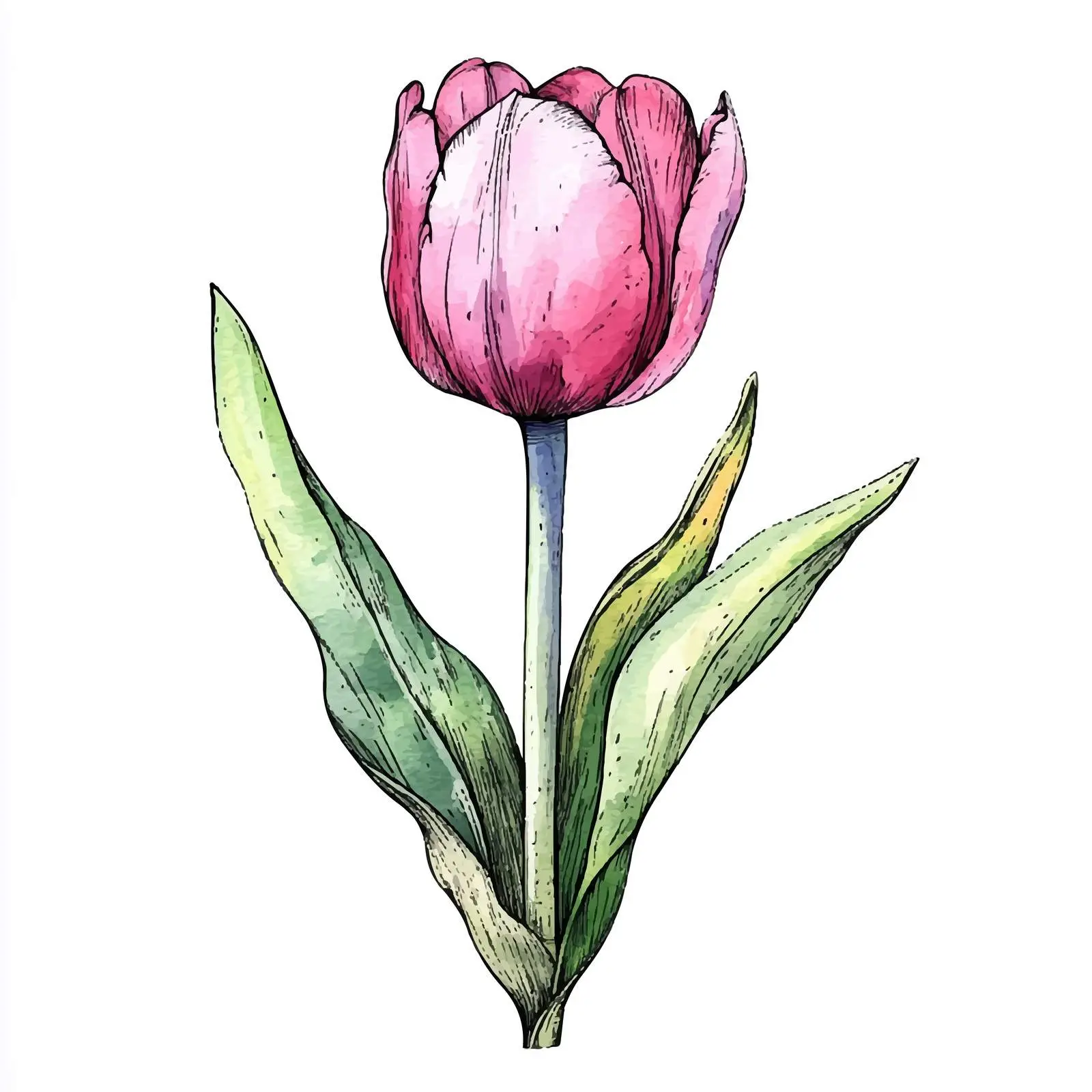 Colorful Hand-Drawn Tulip Bulb Sketch — free download from Dotvec