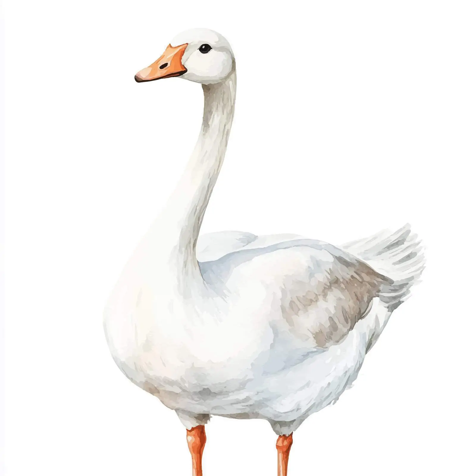 Colorful Hand-Drawn White Goose Sketch — free download from Dotvec